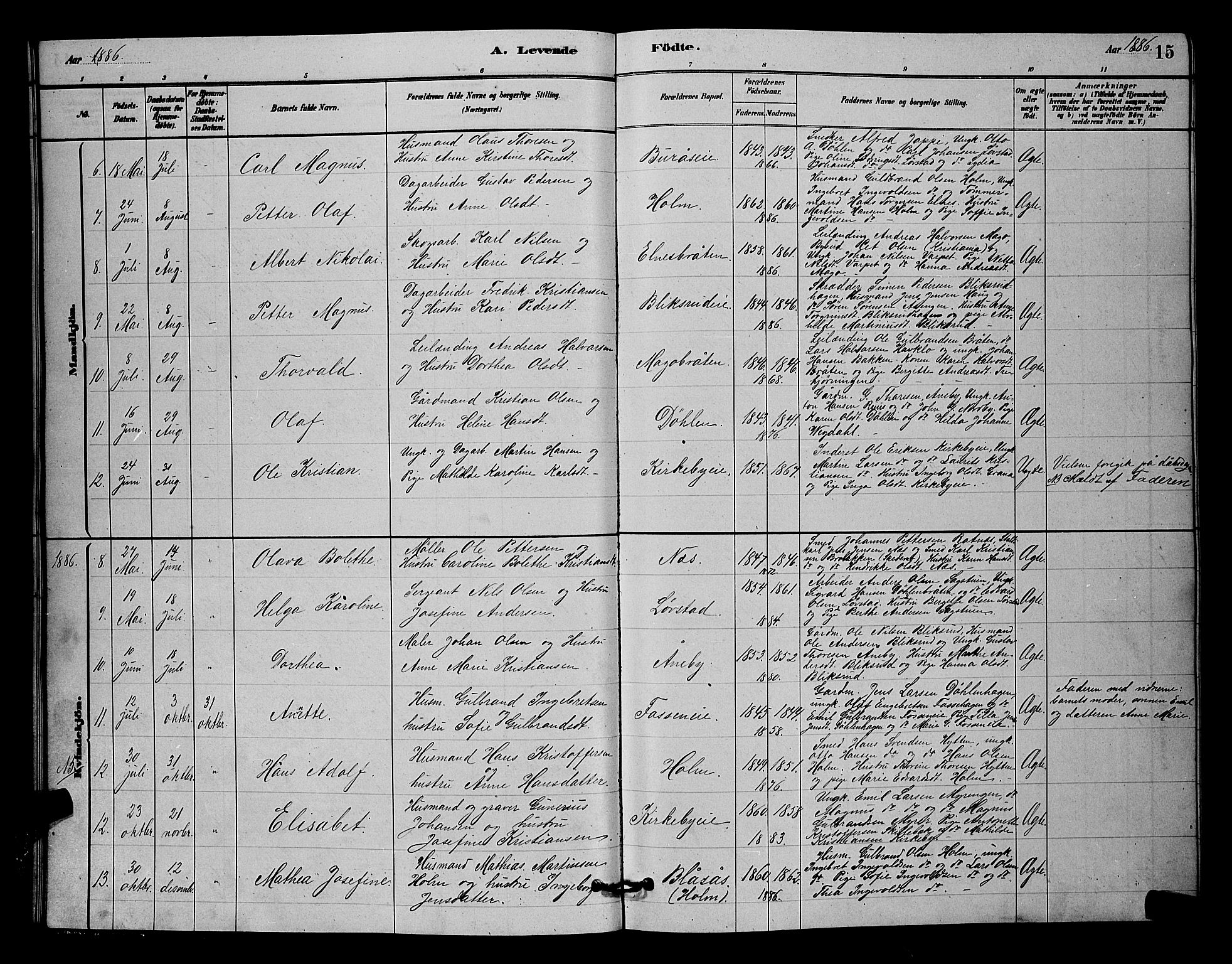 Nittedal prestekontor Kirkebøker, SAO/A-10365a/G/Gb/L0002: Parish register (copy) no. II 2, 1879-1901, p. 15