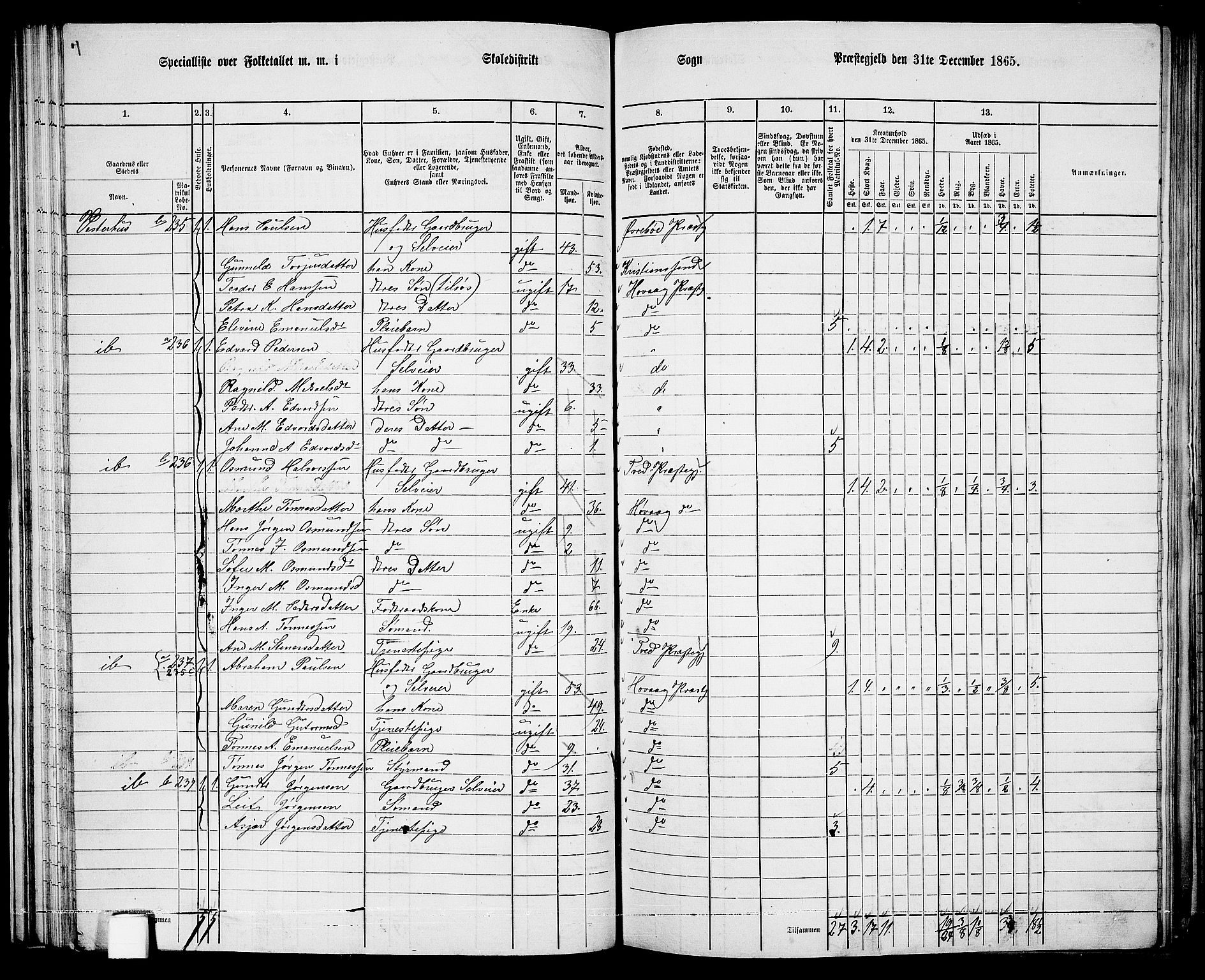 RA, 1865 census for Høvåg, 1865, p. 66