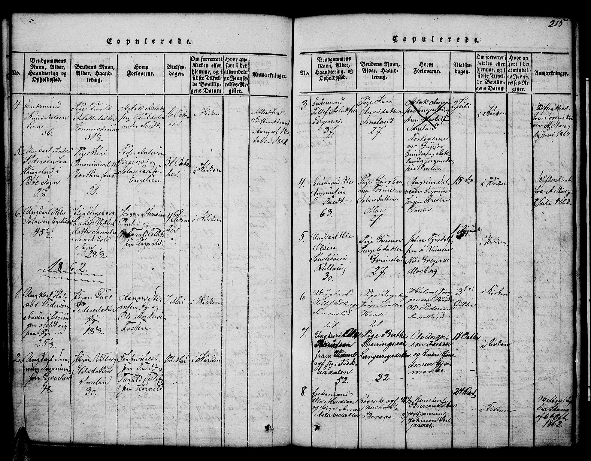 Åmli sokneprestkontor, AV/SAK-1111-0050/F/Fb/Fbc/L0001: Parish register (copy) no. B 1, 1816-1867, p. 215