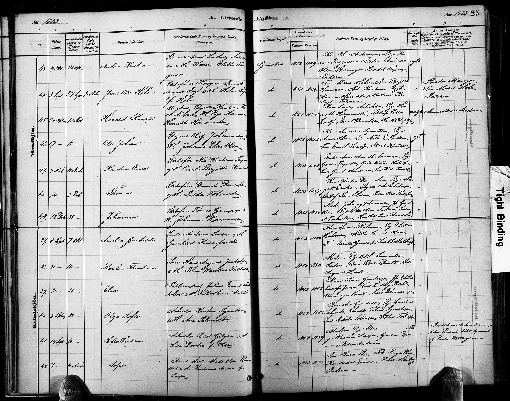 Grimstad sokneprestkontor, AV/SAK-1111-0017/F/Fb/L0001: Parish register (copy) no. B 1, 1881-1922, p. 25