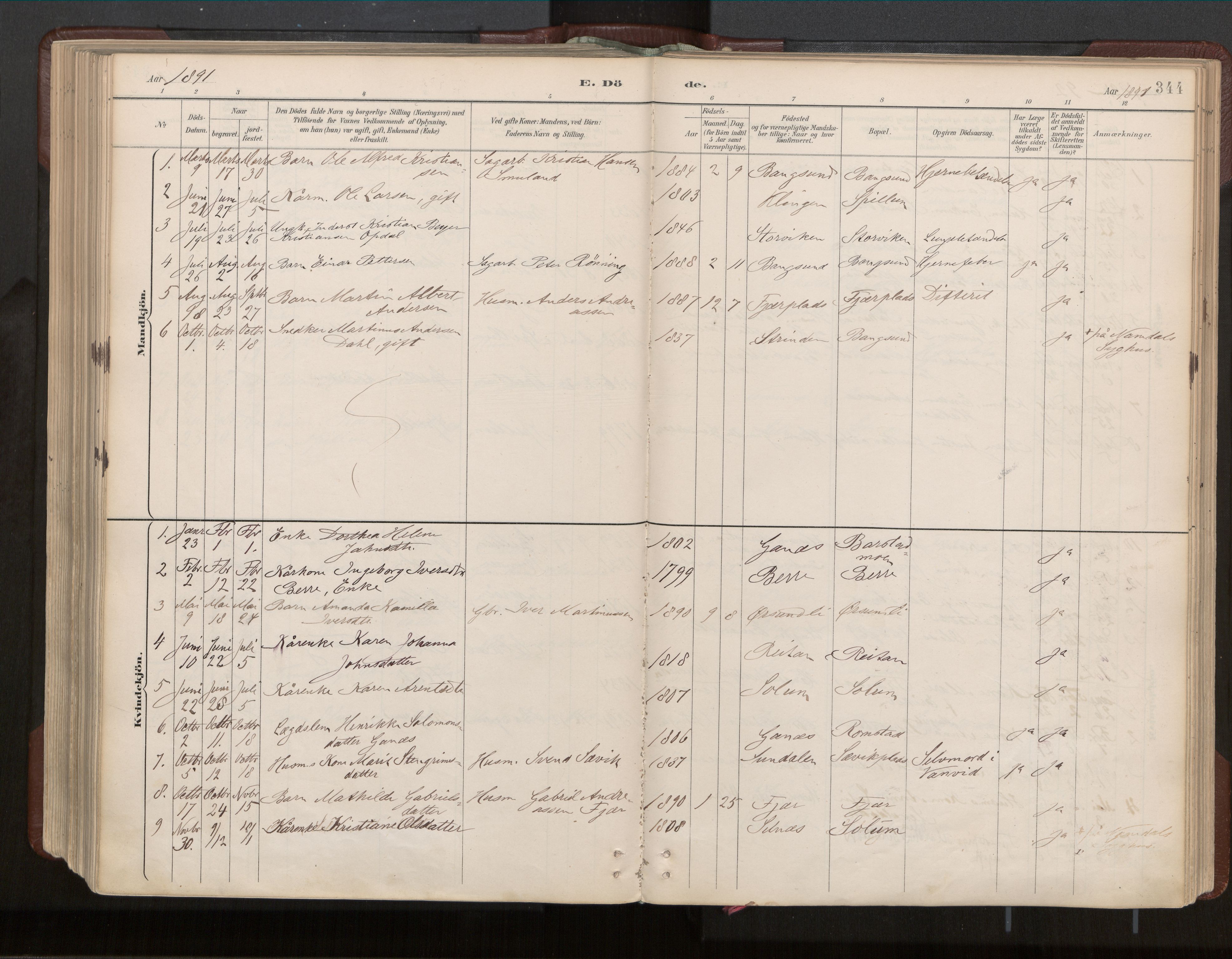 Ministerialprotokoller, klokkerbøker og fødselsregistre - Nord-Trøndelag, SAT/A-1458/770/L0589: Parish register (official) no. 770A03, 1887-1929, p. 344