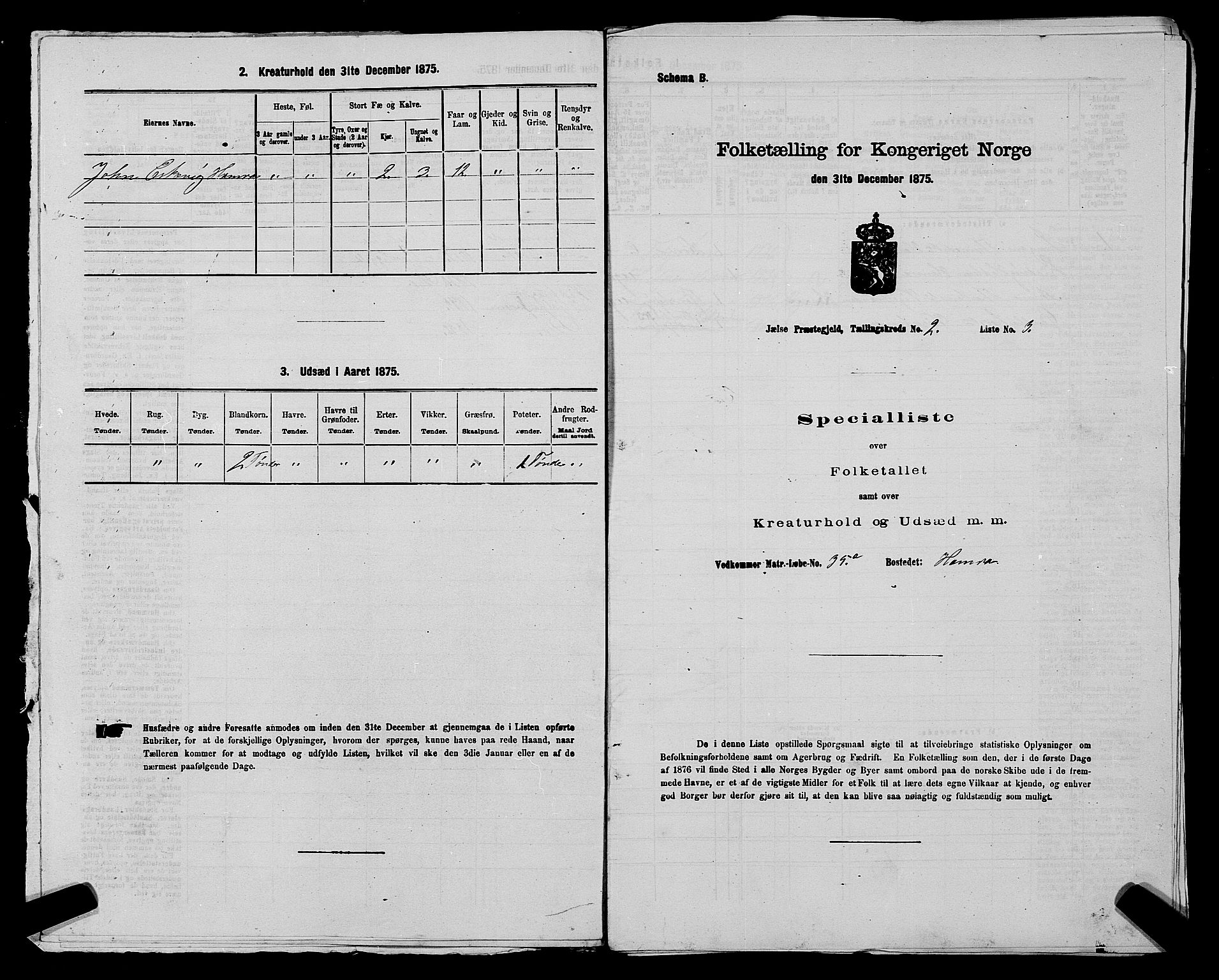 SAST, 1875 census for 1138P Jelsa, 1875, p. 120