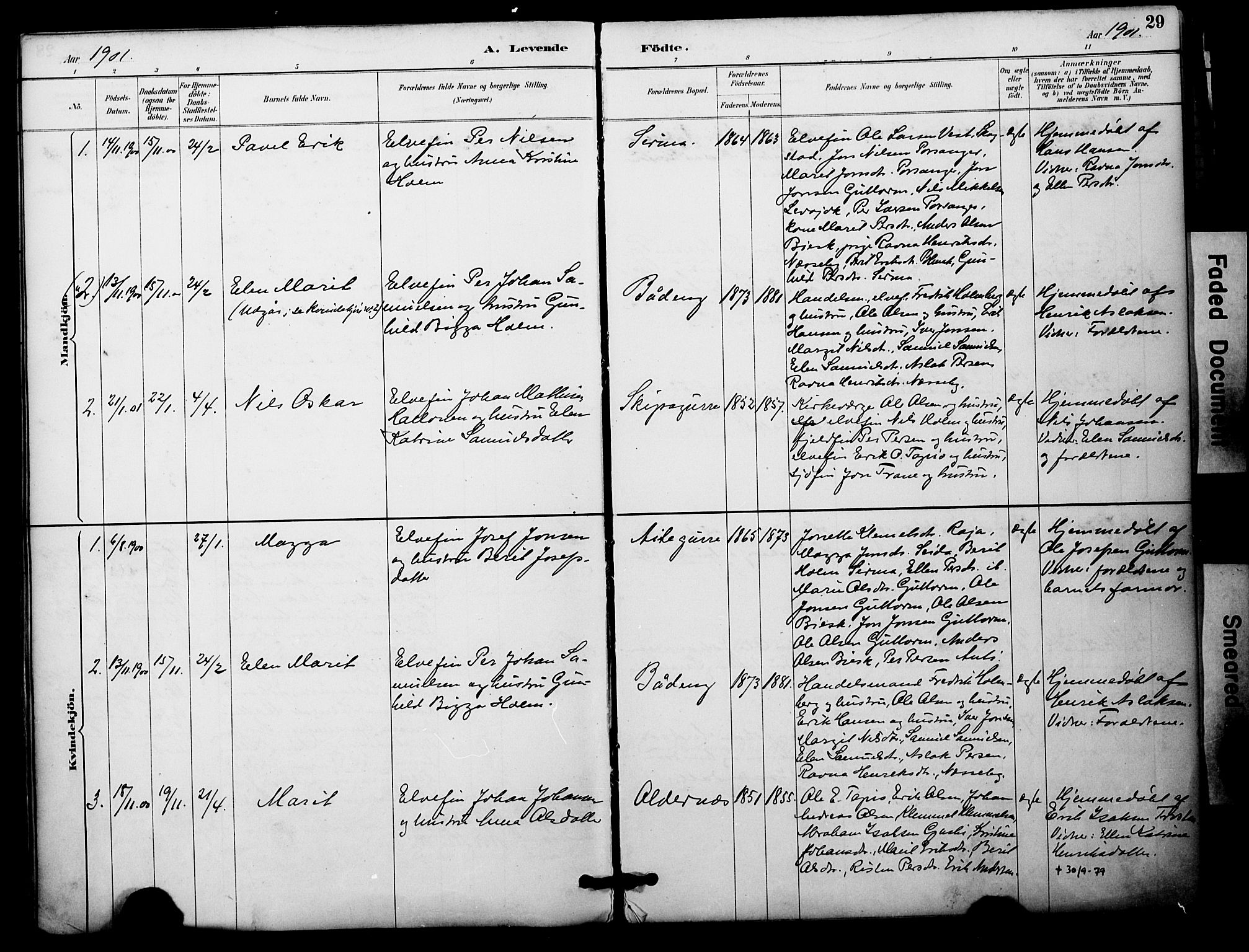Nesseby sokneprestkontor, SATØ/S-1330/H/Ha/L0005kirke: Parish register (official) no. 5, 1885-1906, p. 29