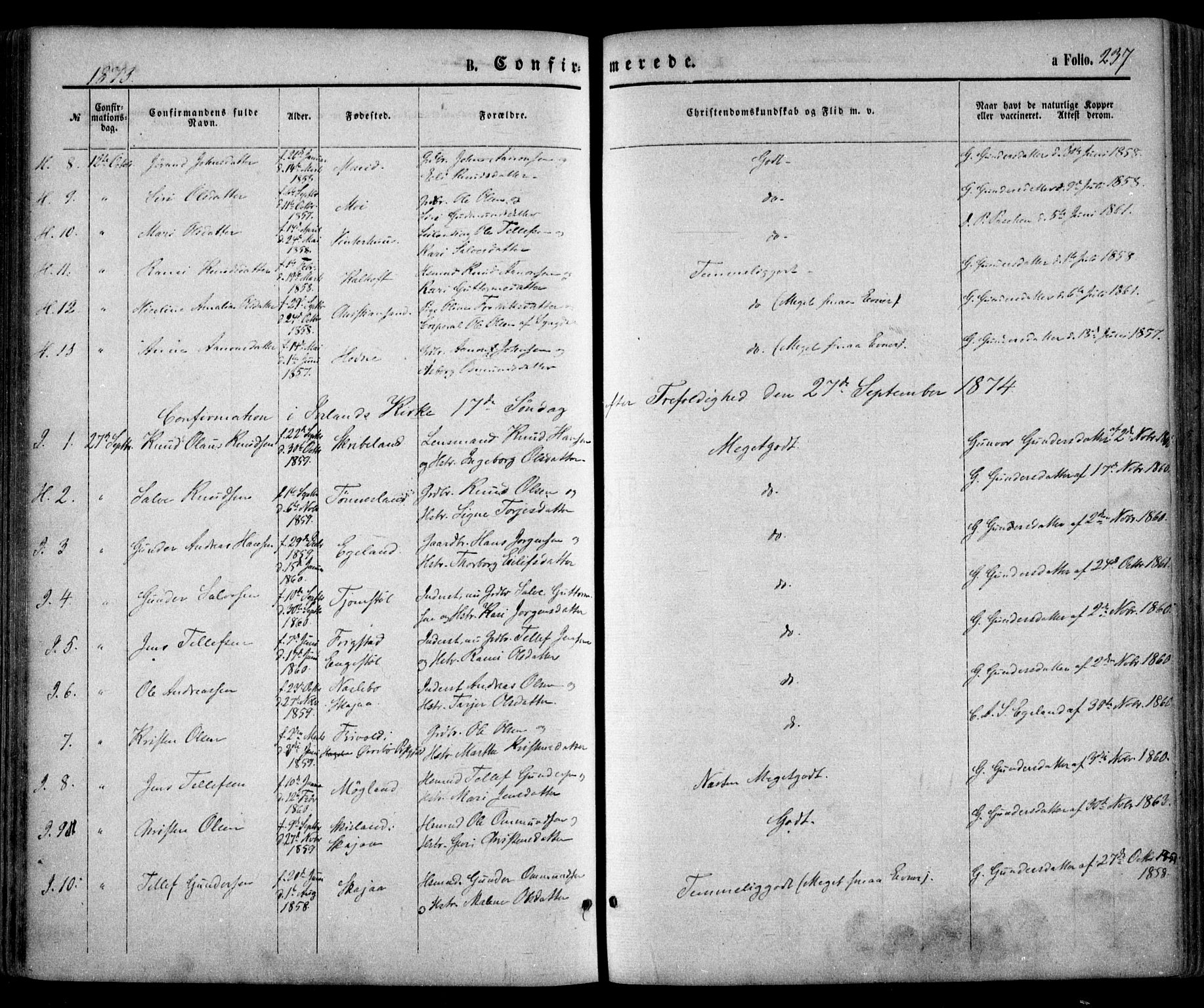 Evje sokneprestkontor, SAK/1111-0008/F/Fa/Faa/L0006: Parish register (official) no. A 6, 1866-1884, p. 237