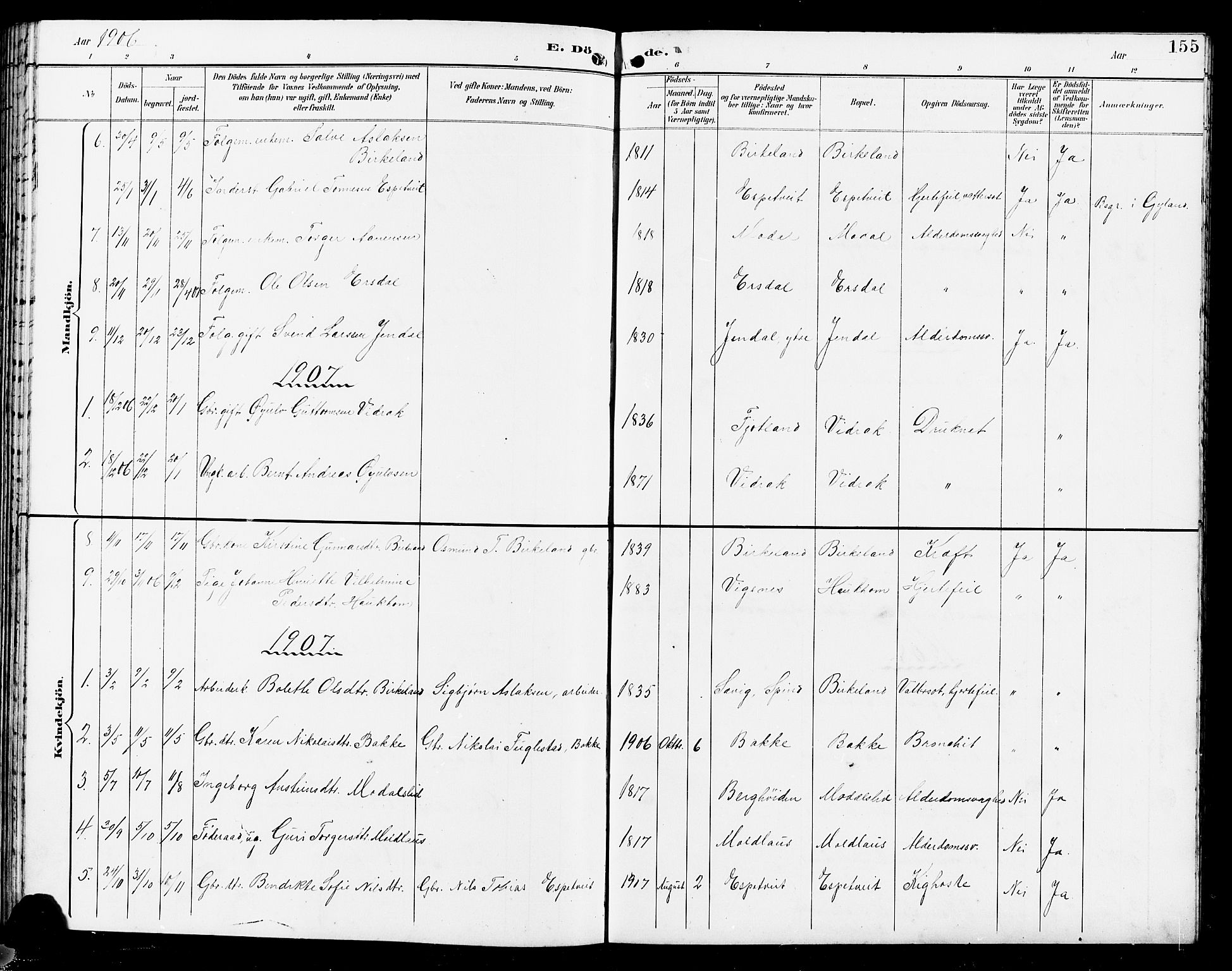 Bakke sokneprestkontor, SAK/1111-0002/F/Fb/Fba/L0003: Parish register (copy) no. B 3, 1894-1910, p. 155