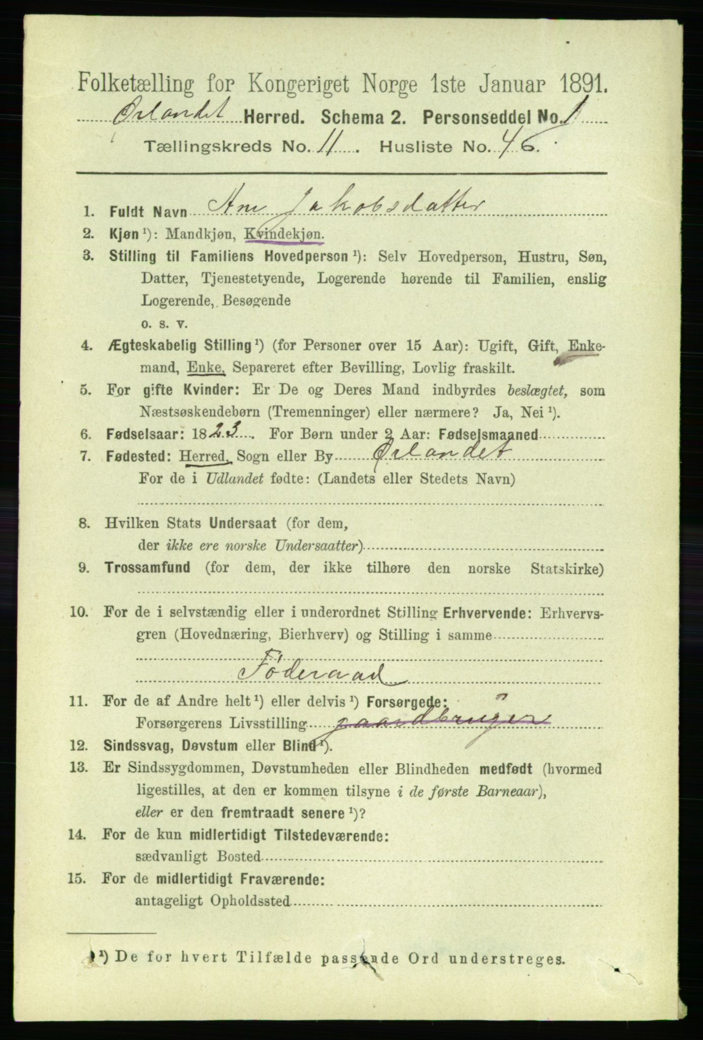 RA, 1891 census for 1621 Ørland, 1891, p. 5171