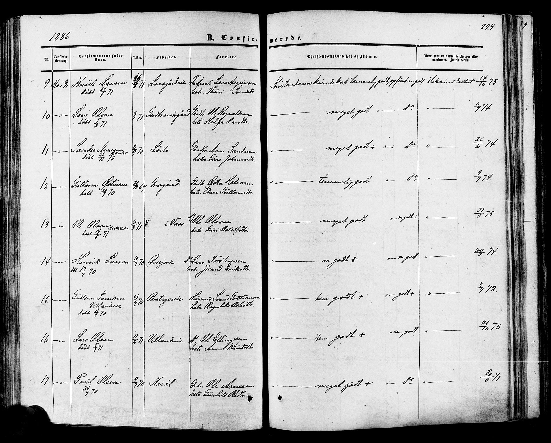 Hol kirkebøker, SAKO/A-227/F/Fa/L0002: Parish register (official) no. I 2, 1870-1886, p. 224