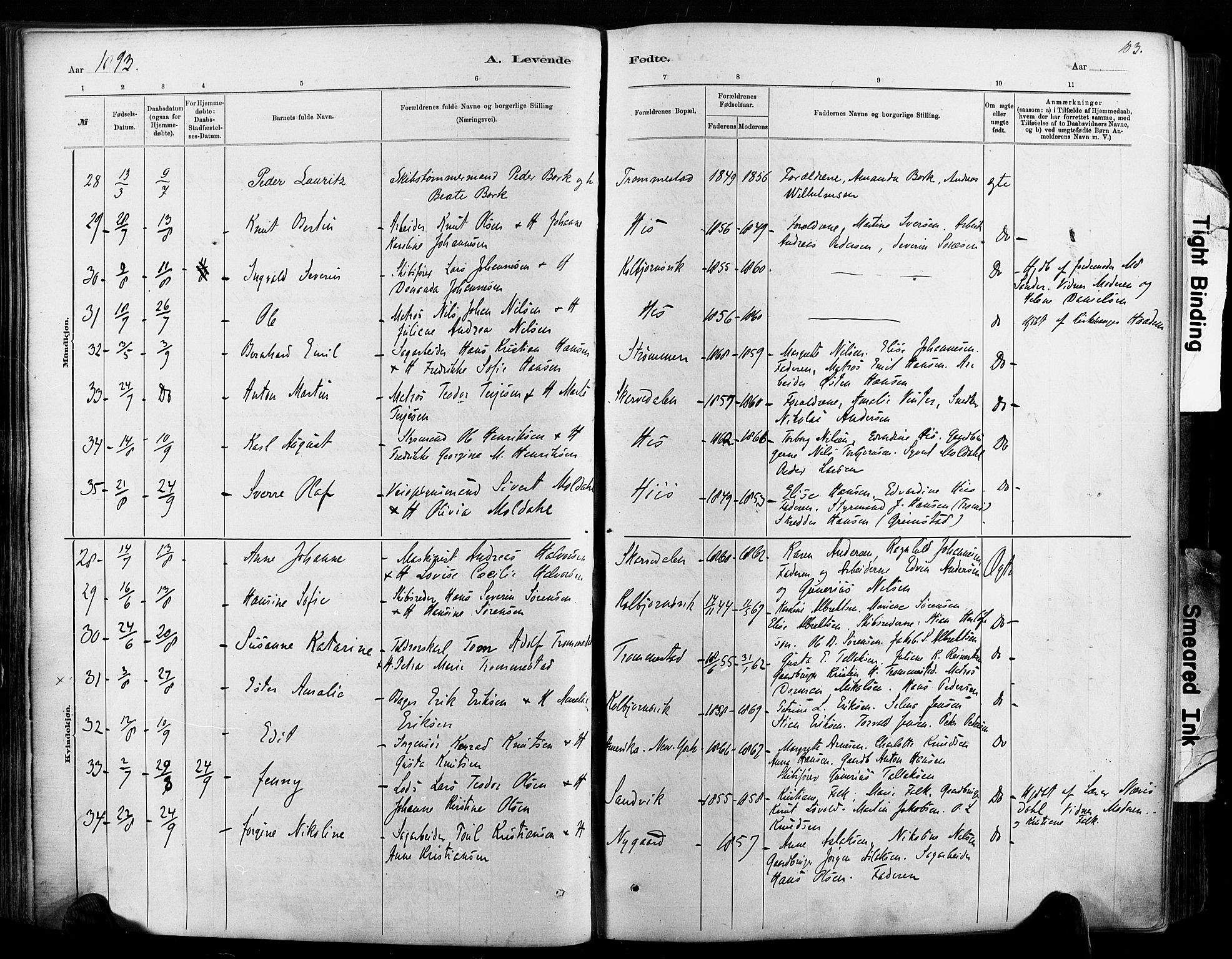 Hisøy sokneprestkontor, SAK/1111-0020/F/Fa/L0003: Parish register (official) no. A 3, 1881-1894, p. 103