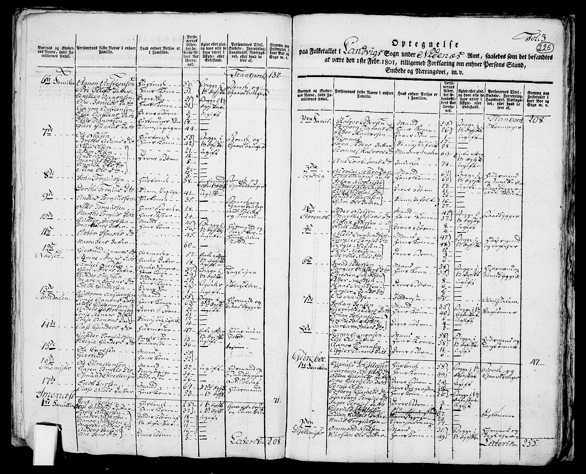 RA, 1801 census for 0924P Homedal, 1801, p. 224b-225a