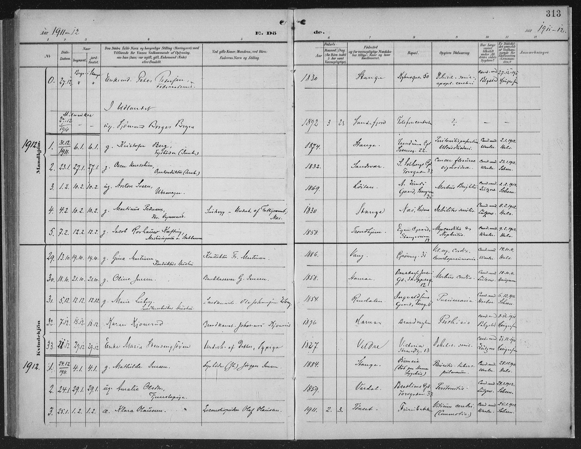 Hamar prestekontor, AV/SAH-DOMPH-002/H/Ha/Haa/L0001: Parish register (official) no. 1, 1900-1914, p. 313