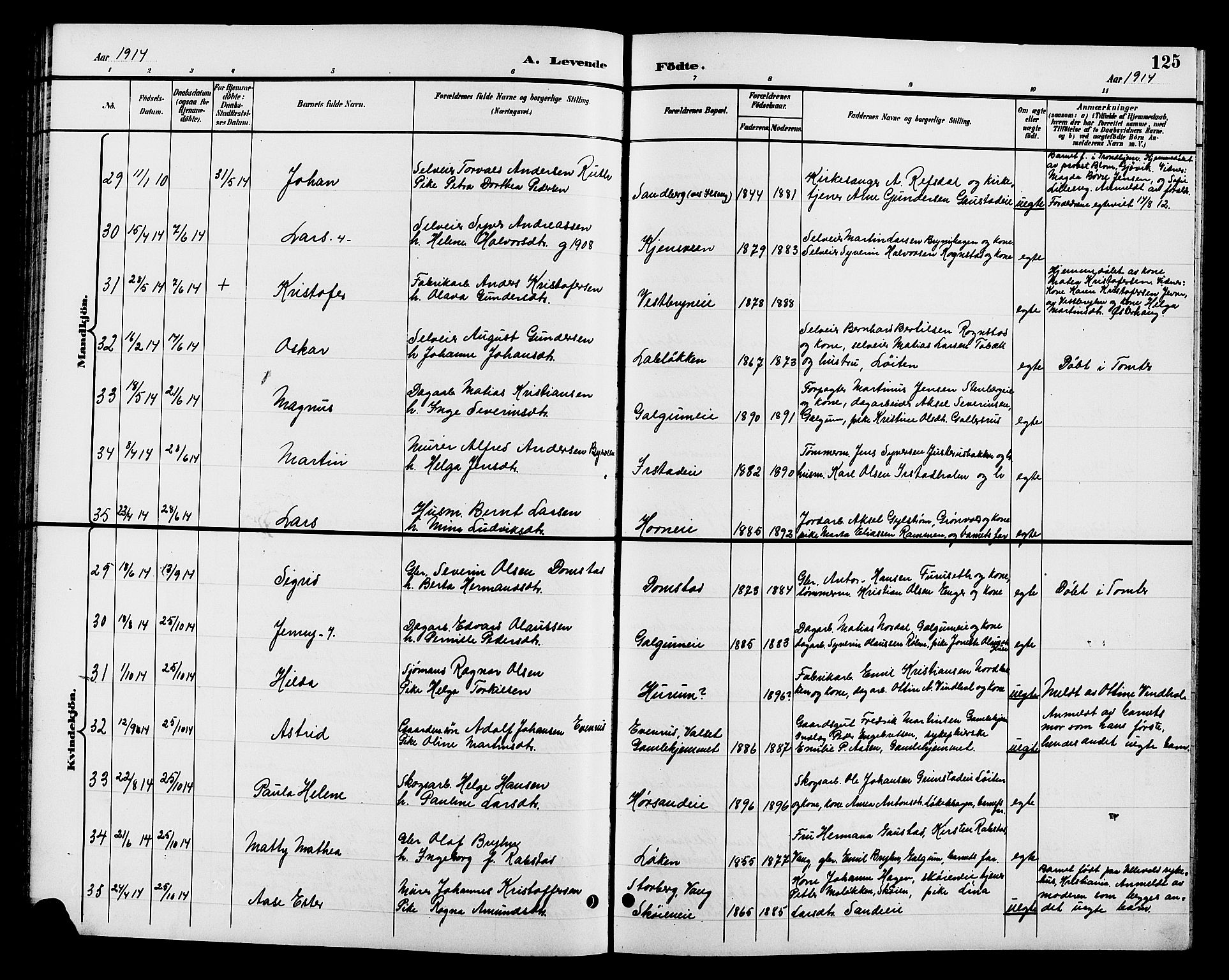 Romedal prestekontor, AV/SAH-PREST-004/L/L0012: Parish register (copy) no. 12, 1896-1914, p. 125