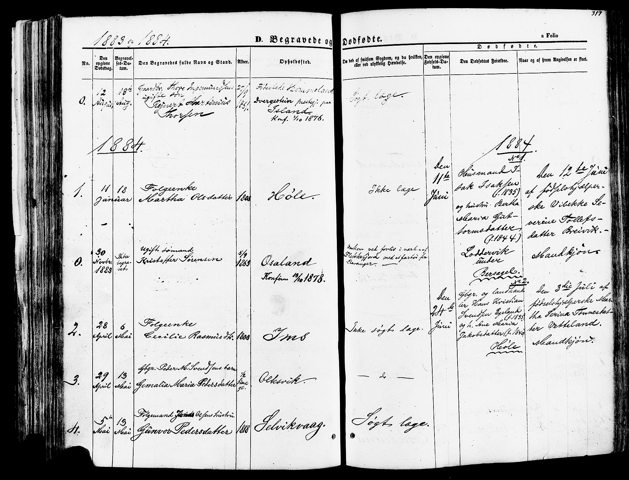 Høgsfjord sokneprestkontor, SAST/A-101624/H/Ha/Haa/L0002: Parish register (official) no. A 2, 1855-1885, p. 317