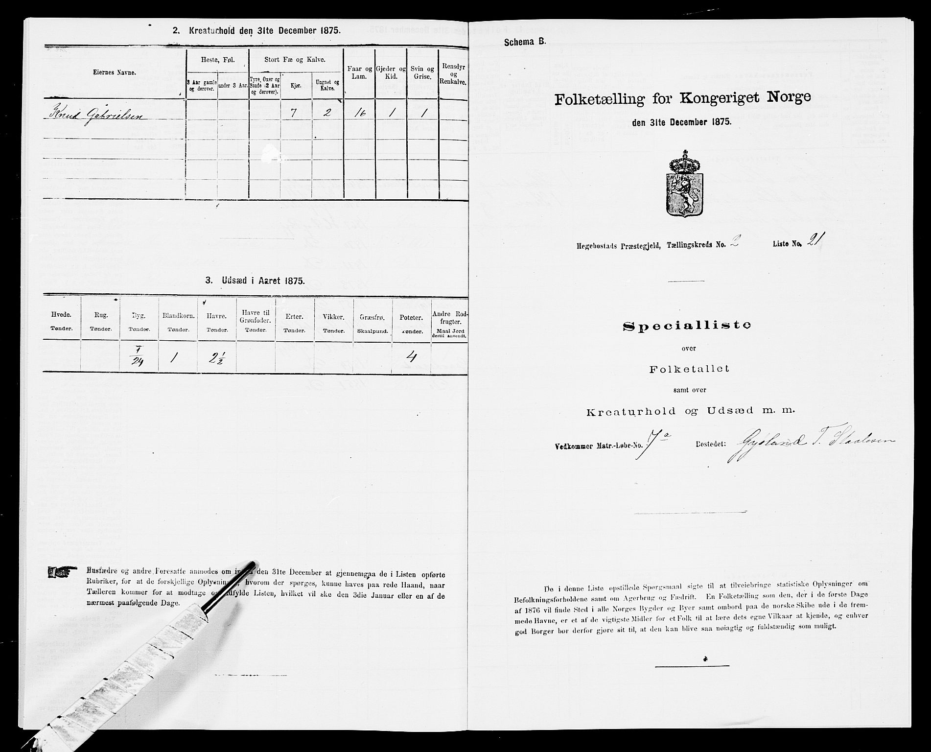 SAK, 1875 census for 1034P Hægebostad, 1875, p. 195