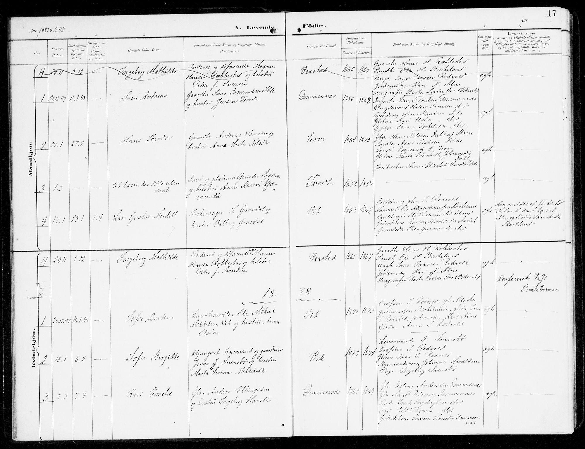 Sveio Sokneprestembete, SAB/A-78501/H/Haa: Parish register (official) no. D 2, 1894-1916, p. 17