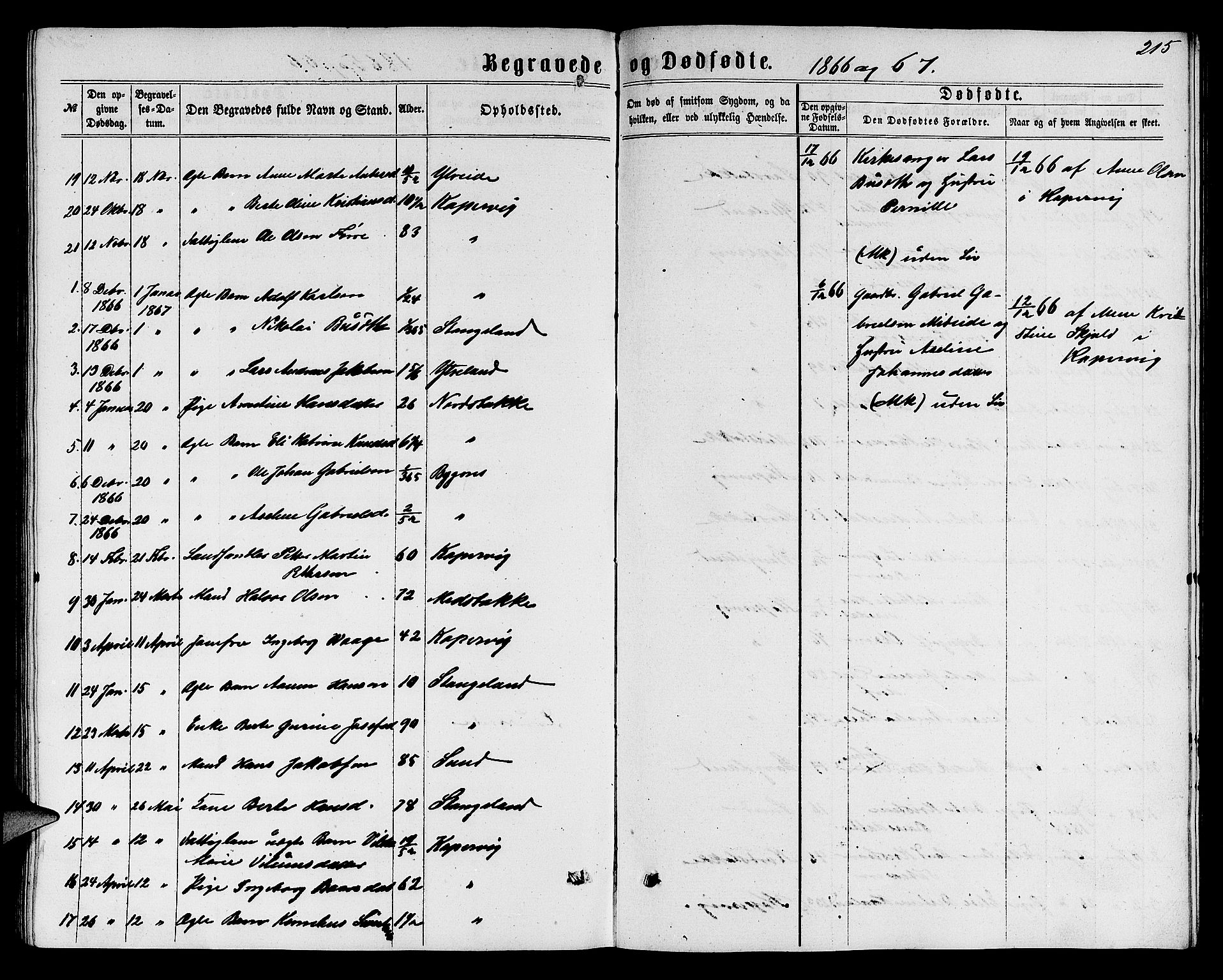 Avaldsnes sokneprestkontor, SAST/A -101851/H/Ha/Hab/L0004: Parish register (copy) no. B 4, 1861-1876, p. 215
