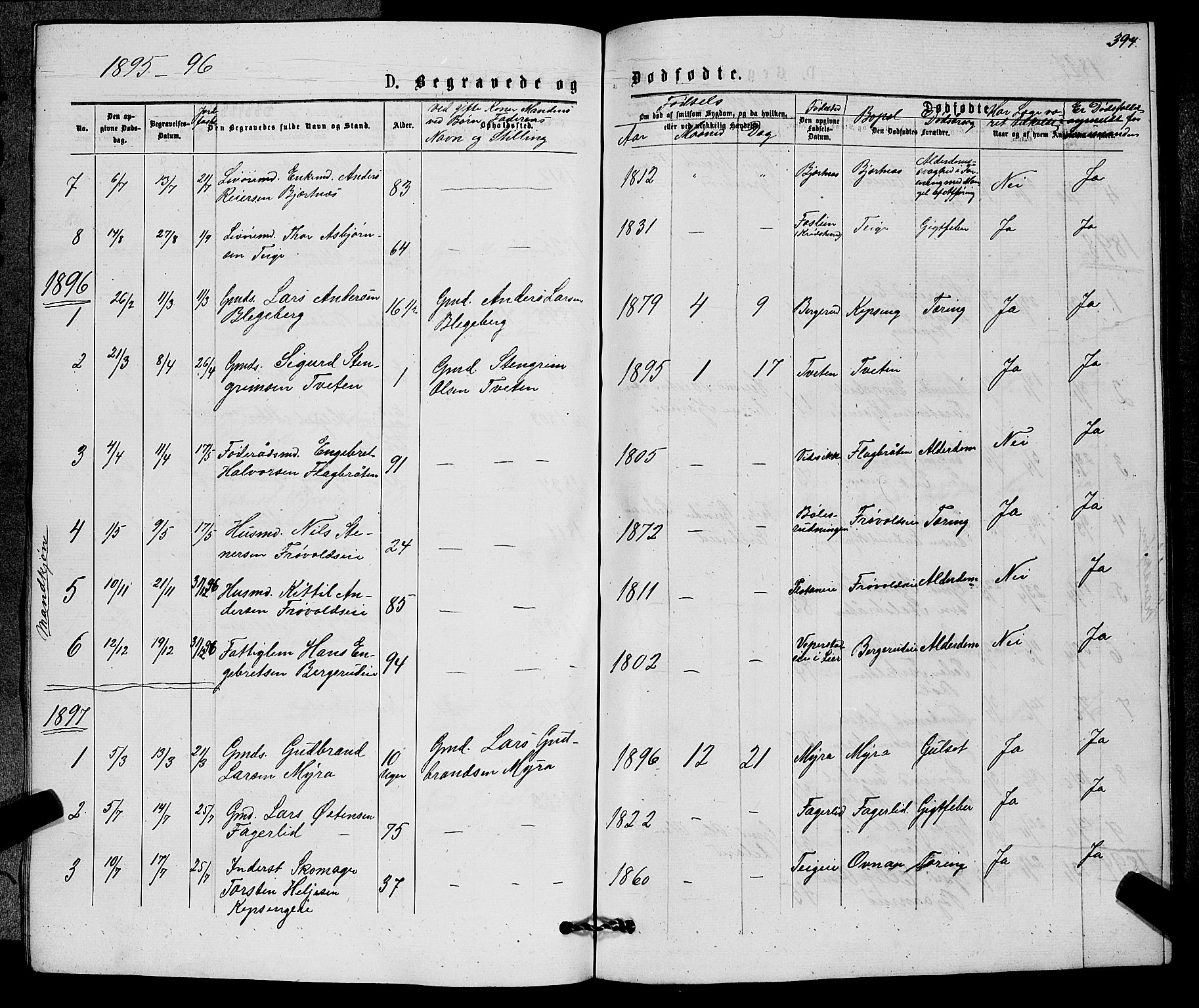 Sigdal kirkebøker, AV/SAKO-A-245/G/Gb/L0002: Parish register (copy) no. II 2, 1875-1900, p. 394