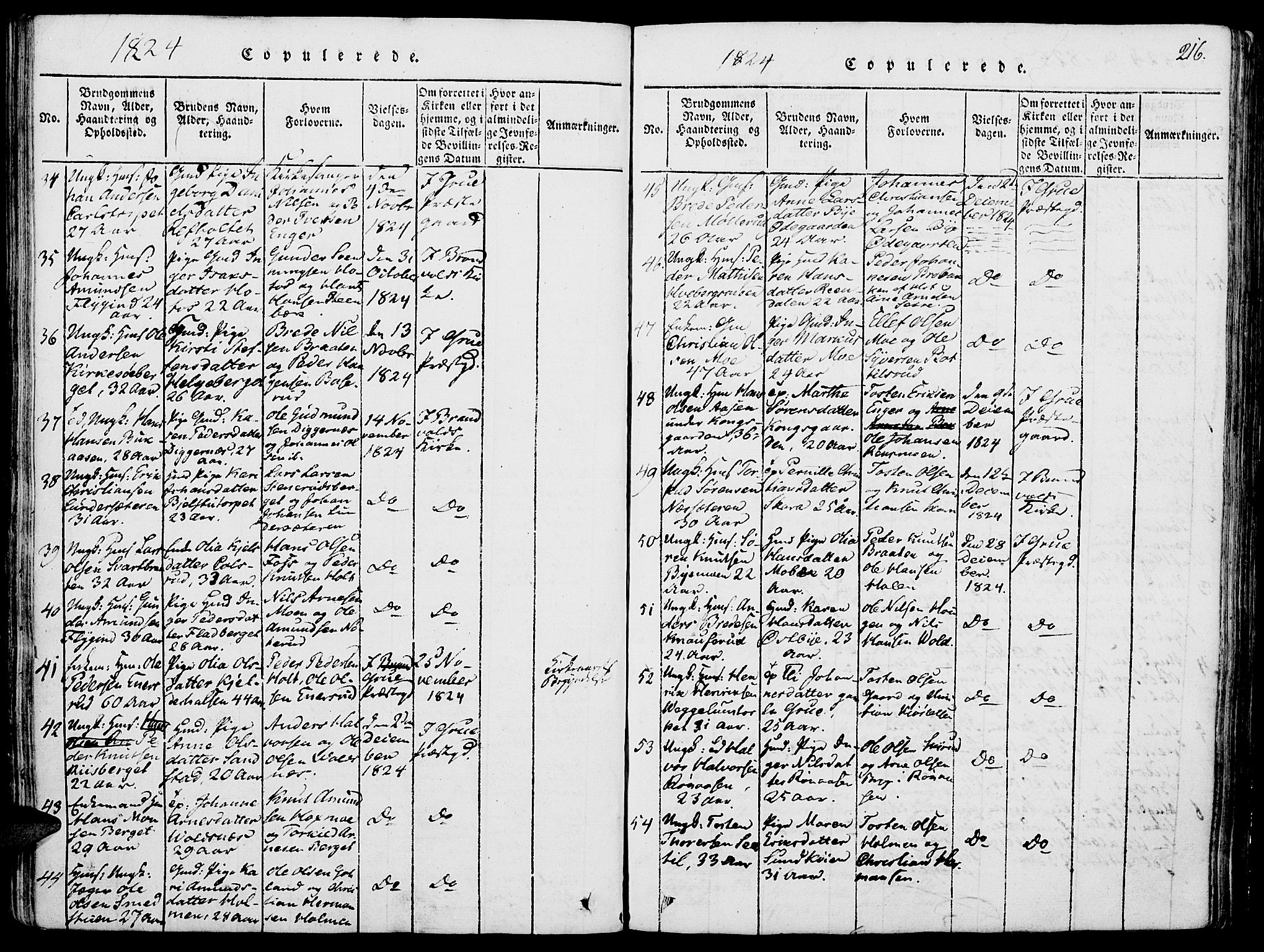 Grue prestekontor, AV/SAH-PREST-036/H/Ha/Haa/L0006: Parish register (official) no. 6, 1814-1830, p. 216