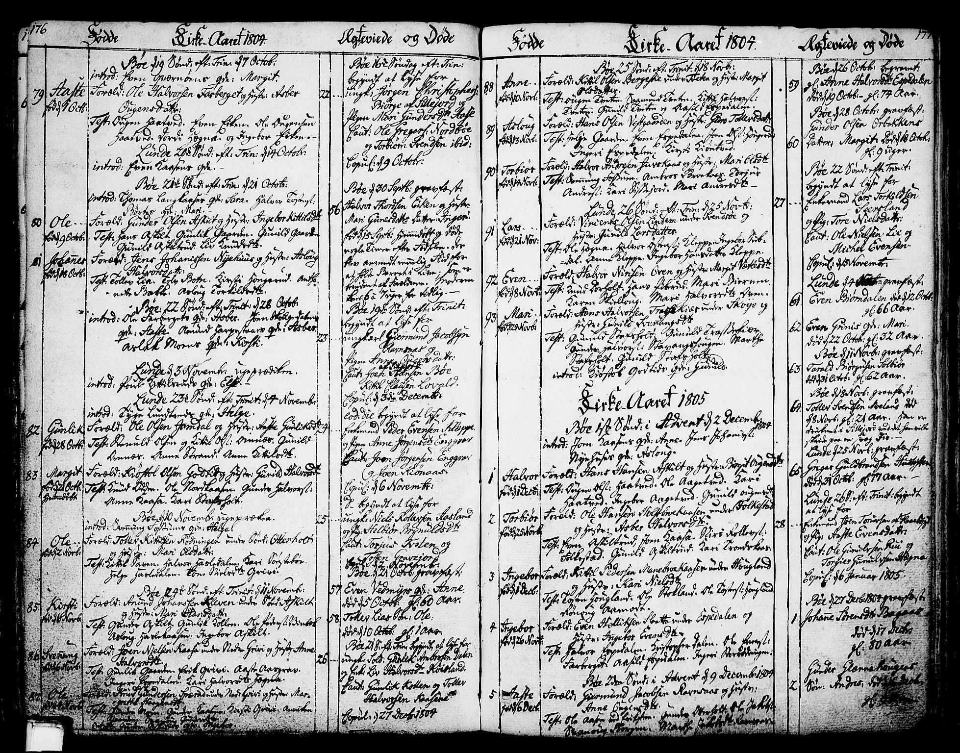 Bø kirkebøker, SAKO/A-257/F/Fa/L0005: Parish register (official) no. 5, 1785-1815, p. 176-177
