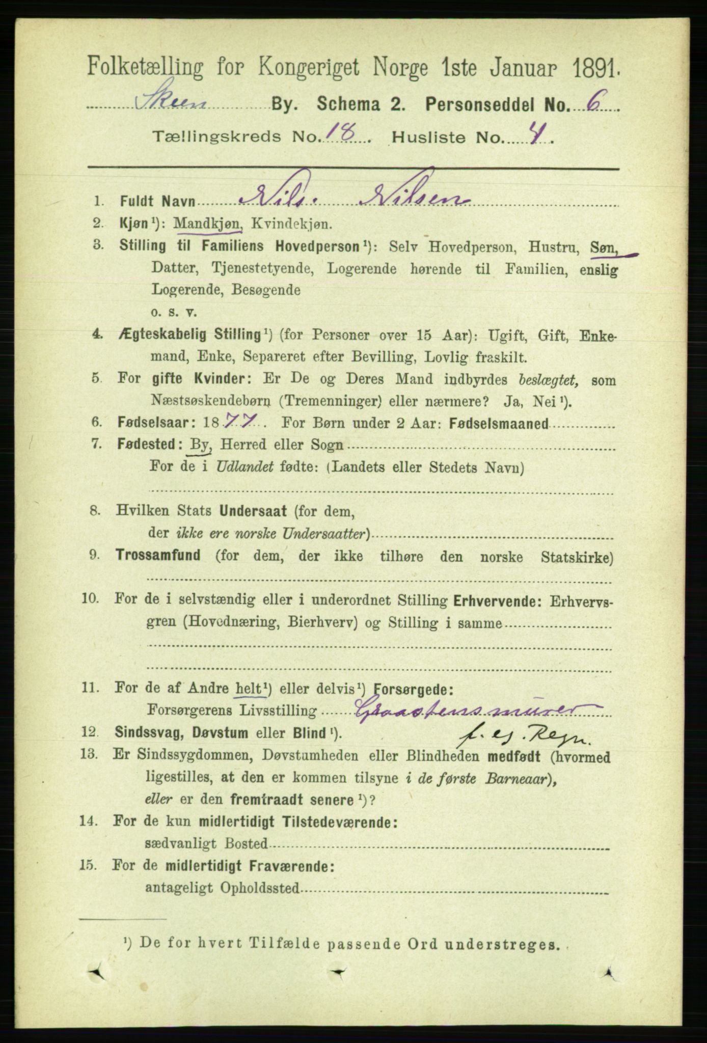 RA, 1891 census for 0806 Skien, 1891, p. 4892