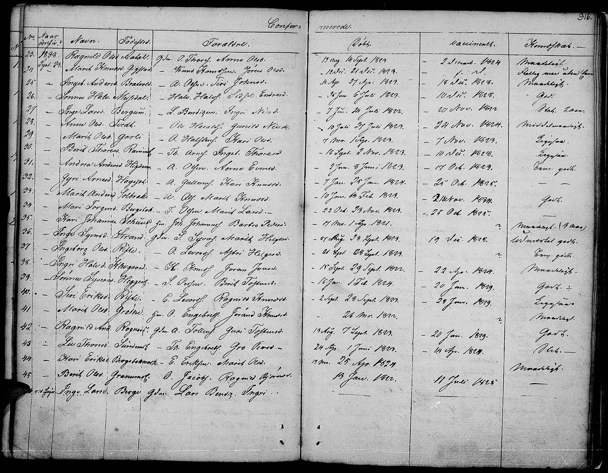 Nord-Aurdal prestekontor, SAH/PREST-132/H/Ha/Haa/L0003: Parish register (official) no. 3, 1828-1841, p. 316