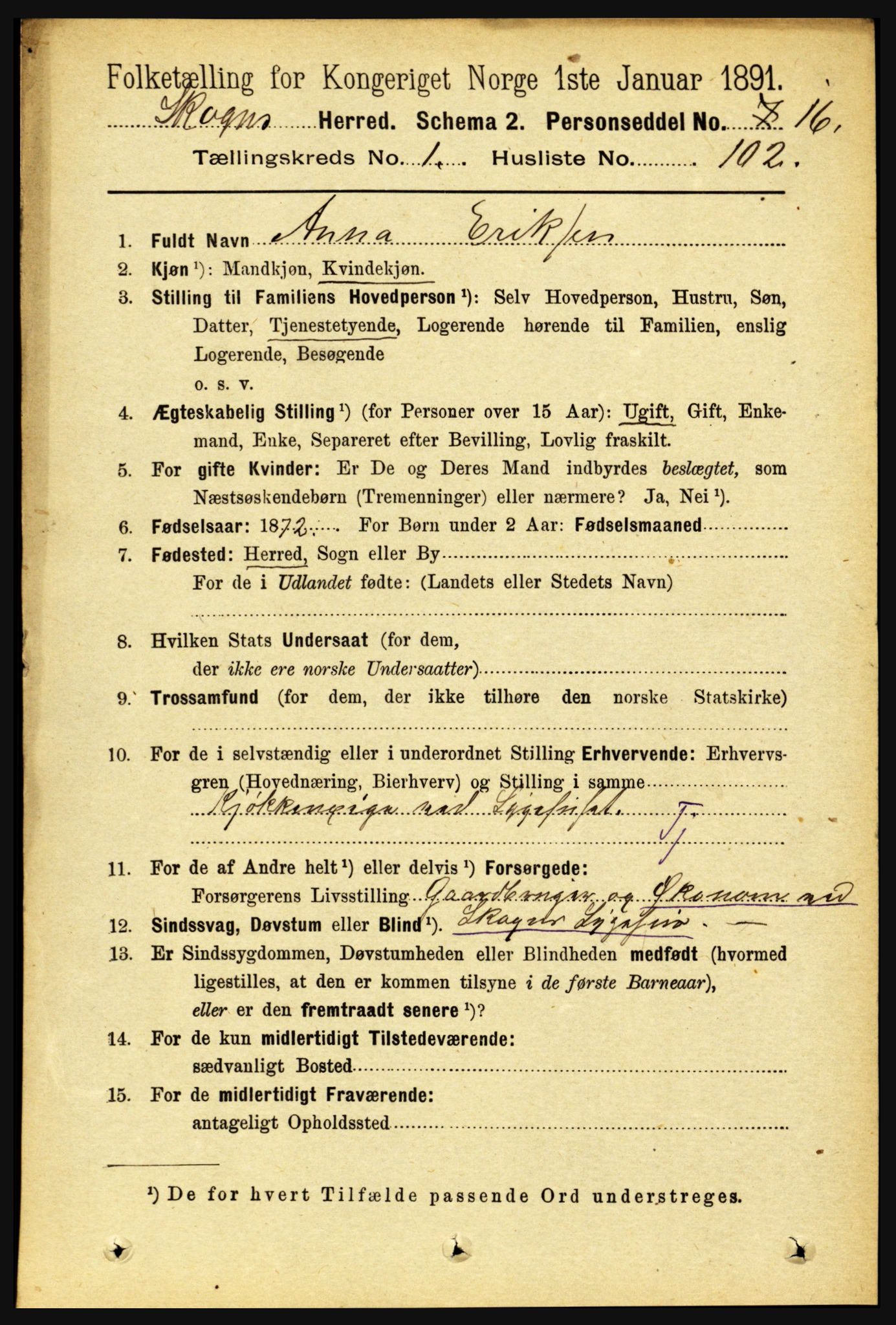 RA, 1891 census for 1719 Skogn, 1891, p. 731