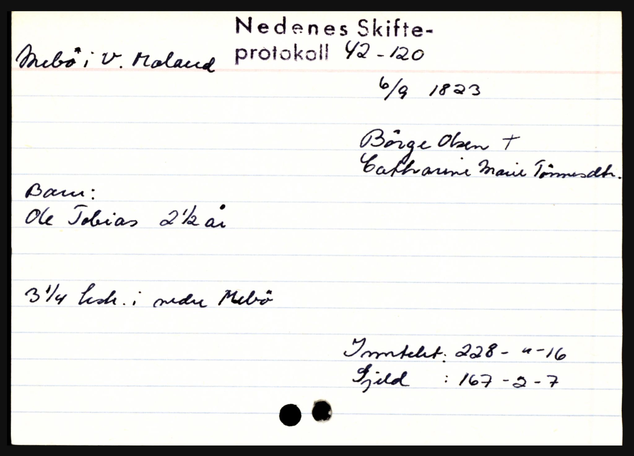 Nedenes sorenskriveri før 1824, AV/SAK-1221-0007/H, p. 19415