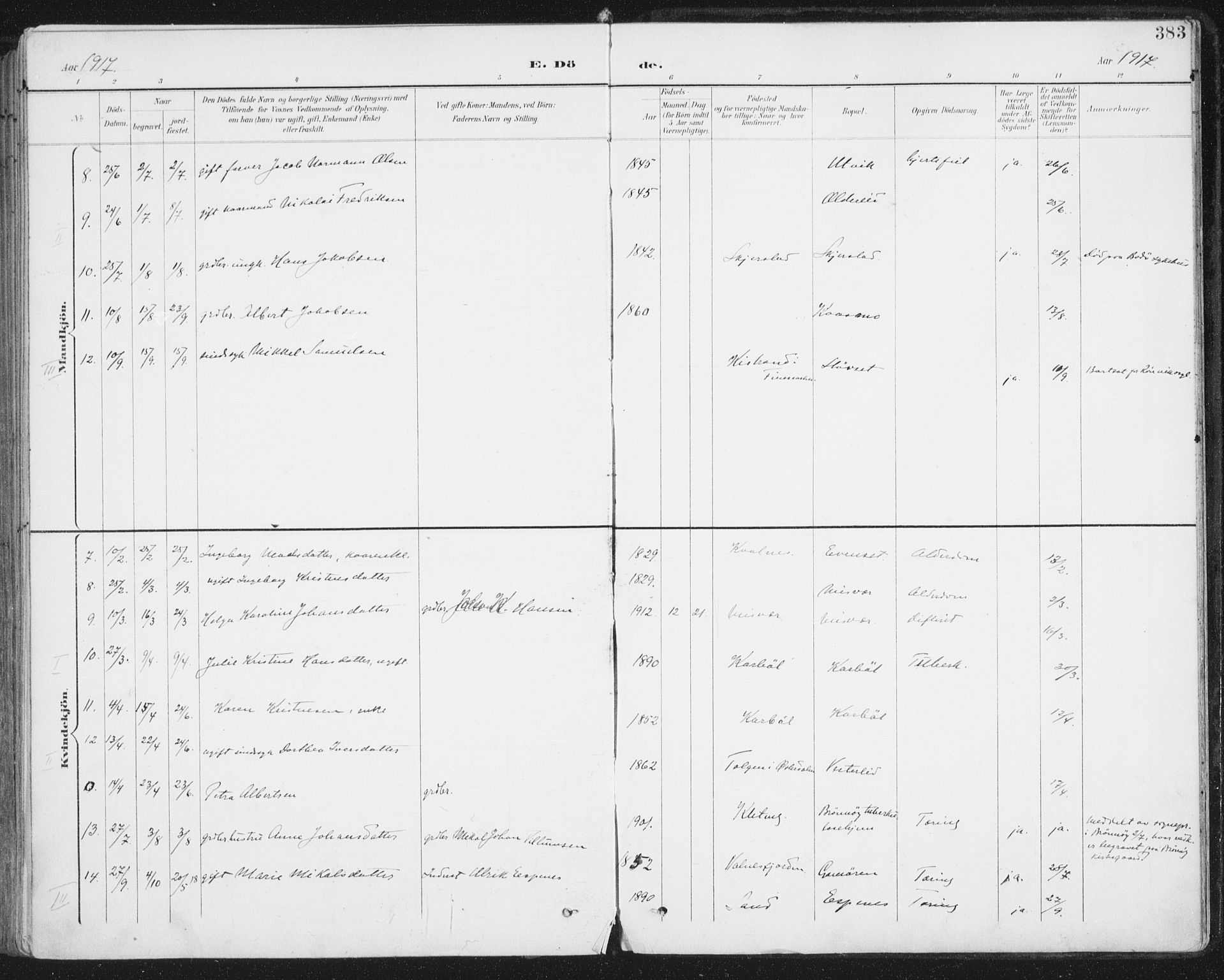 Ministerialprotokoller, klokkerbøker og fødselsregistre - Nordland, SAT/A-1459/852/L0741: Parish register (official) no. 852A11, 1894-1917, p. 383