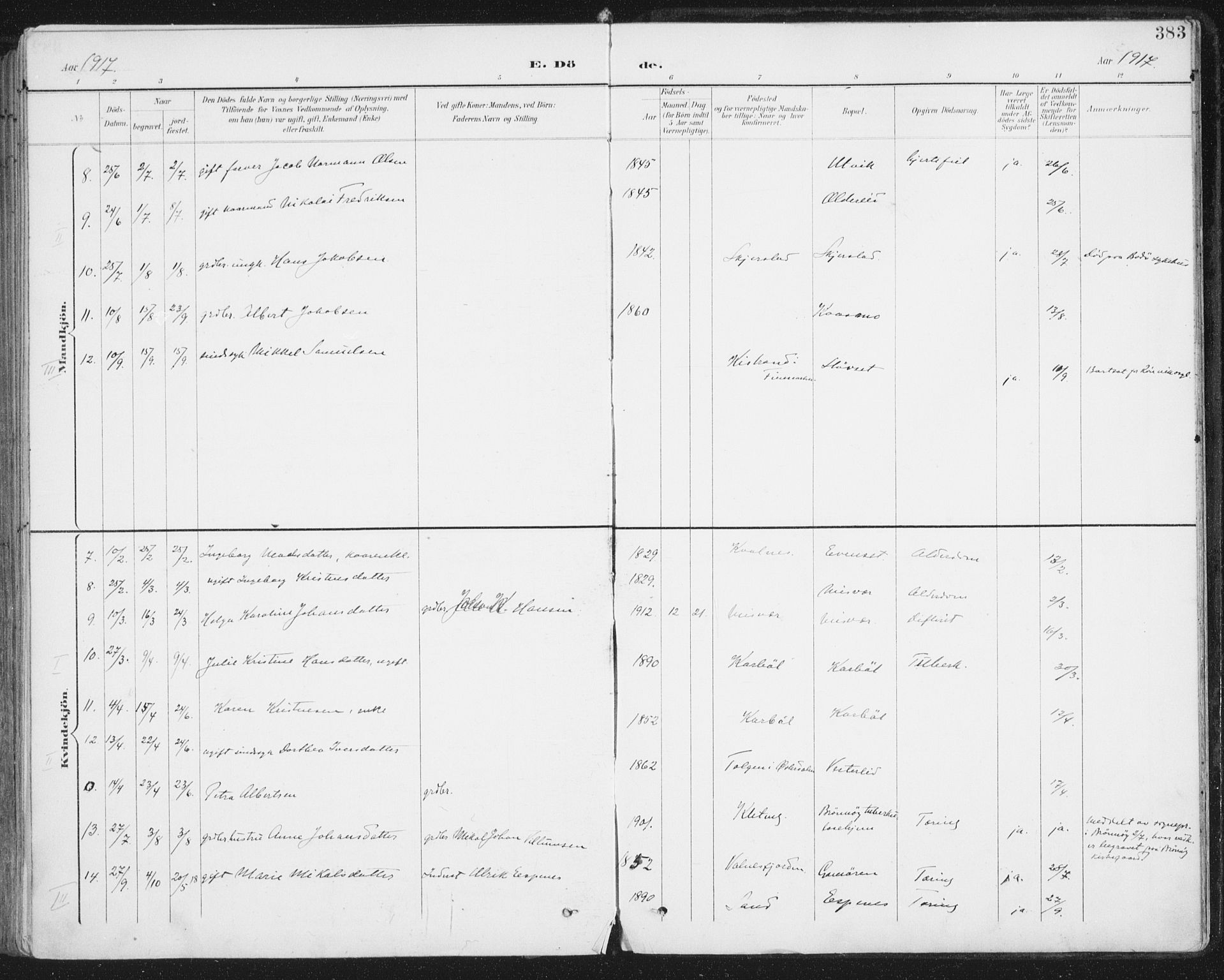 Ministerialprotokoller, klokkerbøker og fødselsregistre - Nordland, AV/SAT-A-1459/852/L0741: Parish register (official) no. 852A11, 1894-1917, p. 383