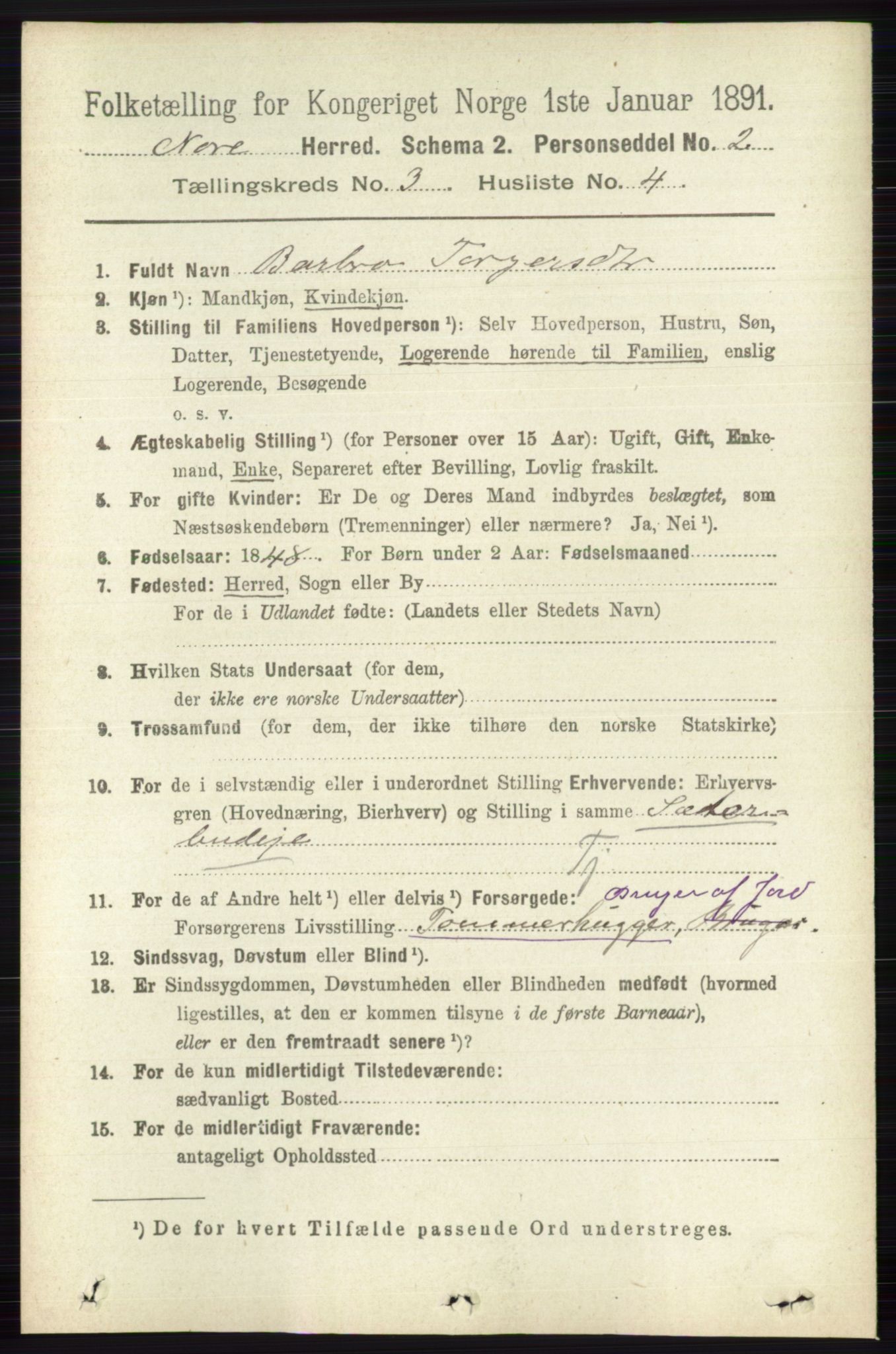 RA, 1891 census for 0633 Nore, 1891, p. 753