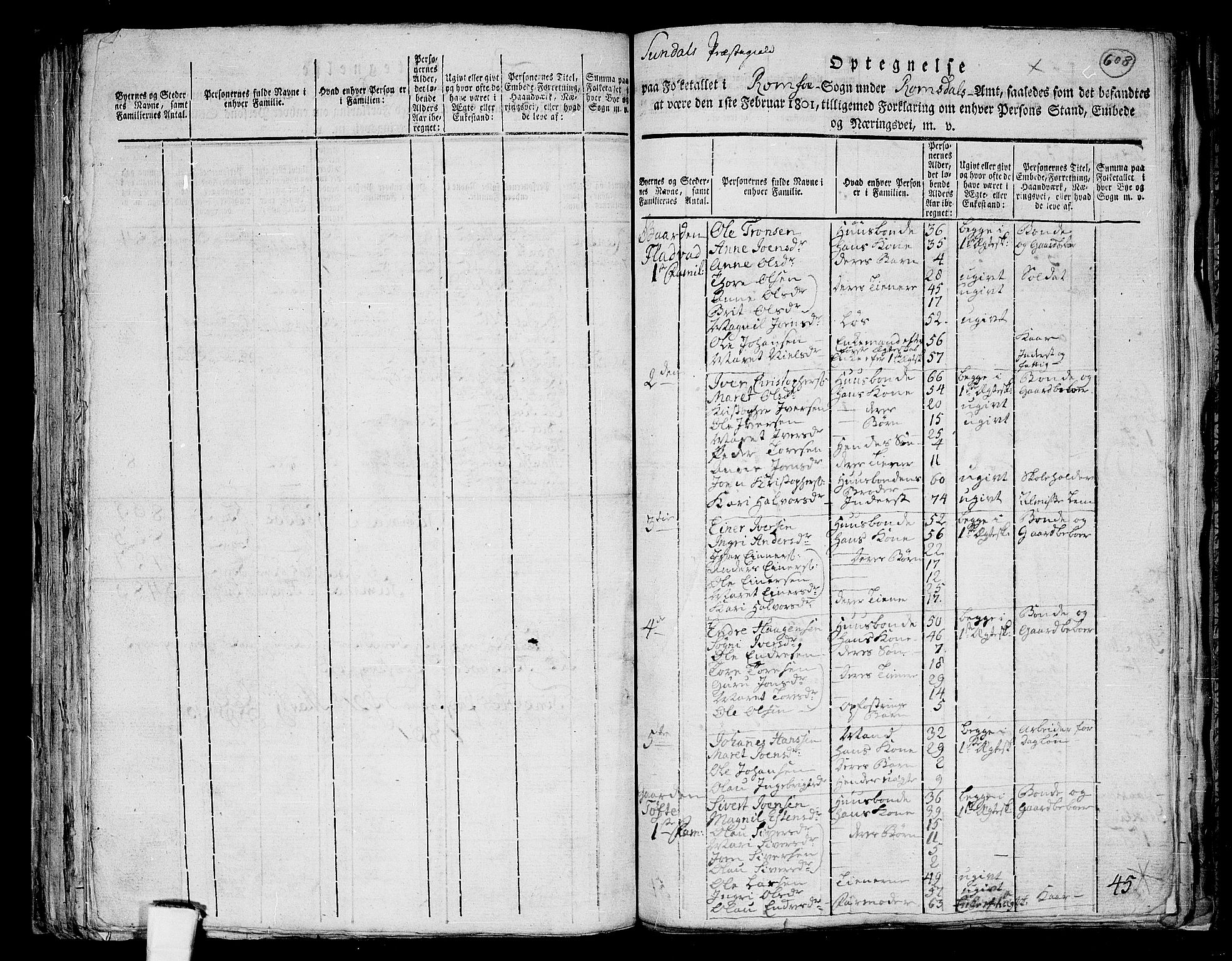 RA, 1801 census for 1563P Sunndal, 1801, p. 607b-608a