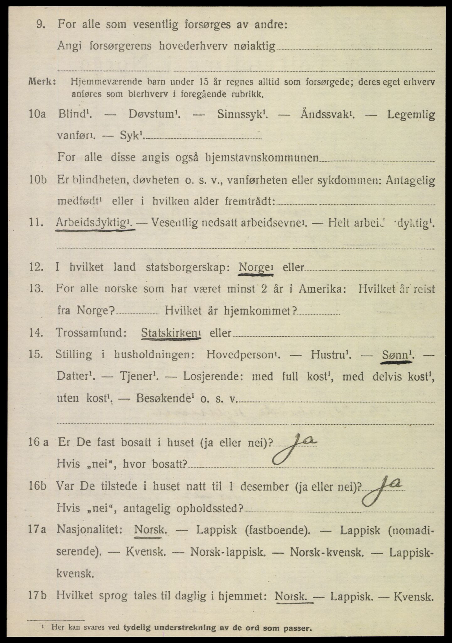 SAT, 1920 census for Hattfjelldal, 1920, p. 951