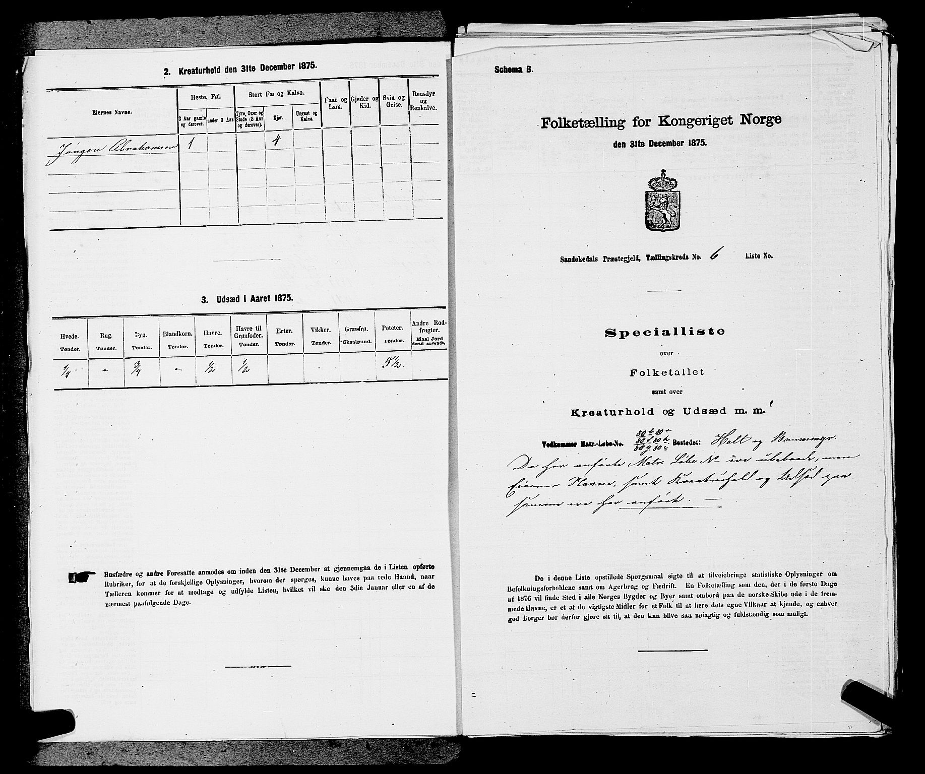 SAKO, 1875 census for 0816P Sannidal, 1875, p. 413