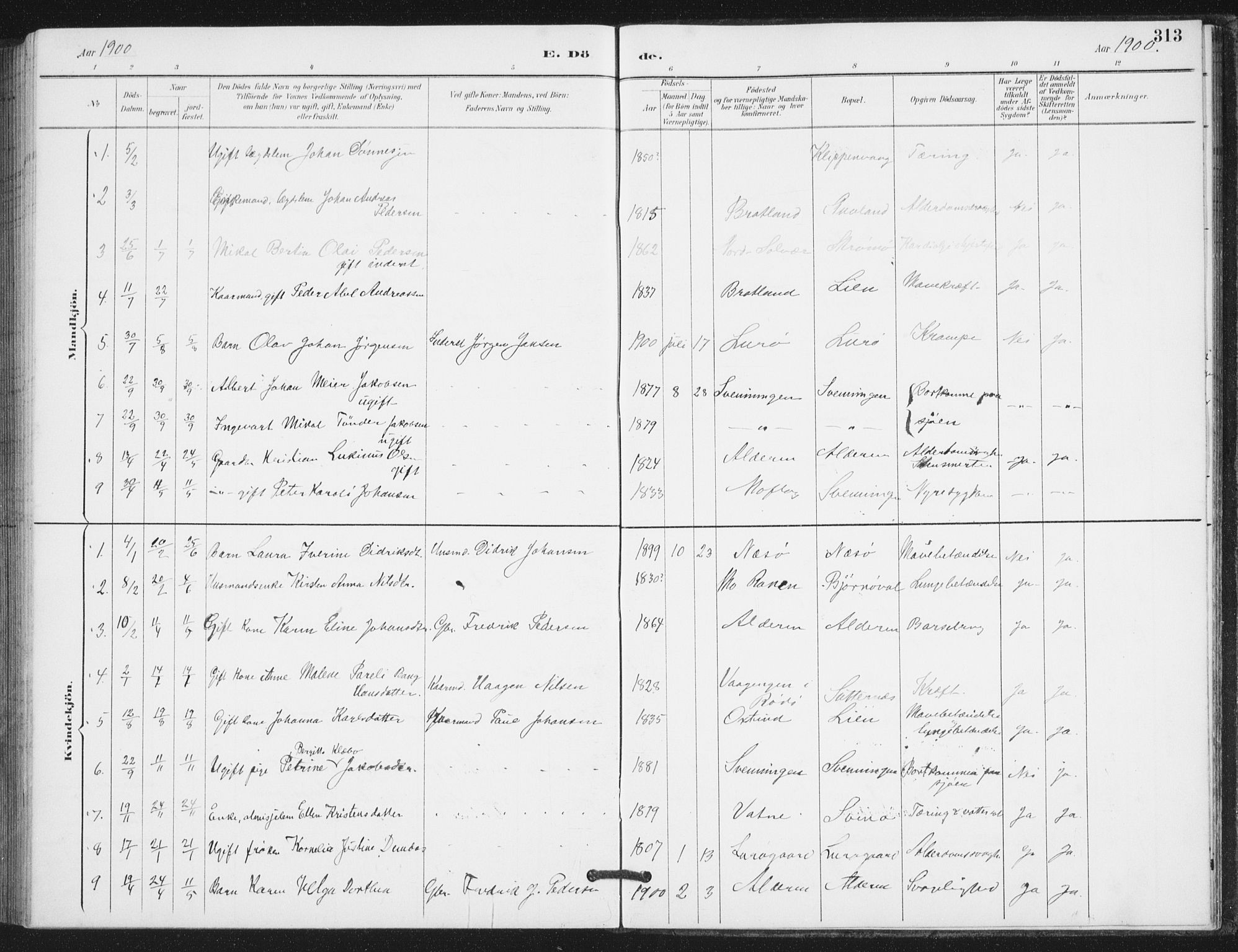 Ministerialprotokoller, klokkerbøker og fødselsregistre - Nordland, SAT/A-1459/839/L0573: Parish register (copy) no. 839C03, 1892-1917, p. 313