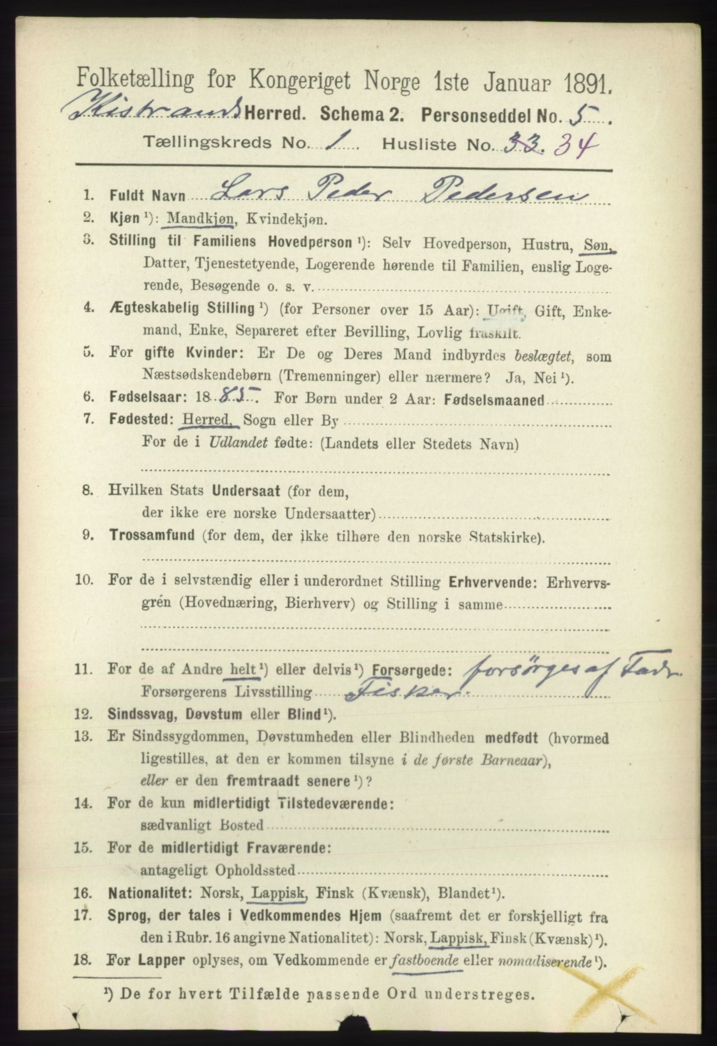 RA, 1891 census for 2020 Kistrand, 1891, p. 293