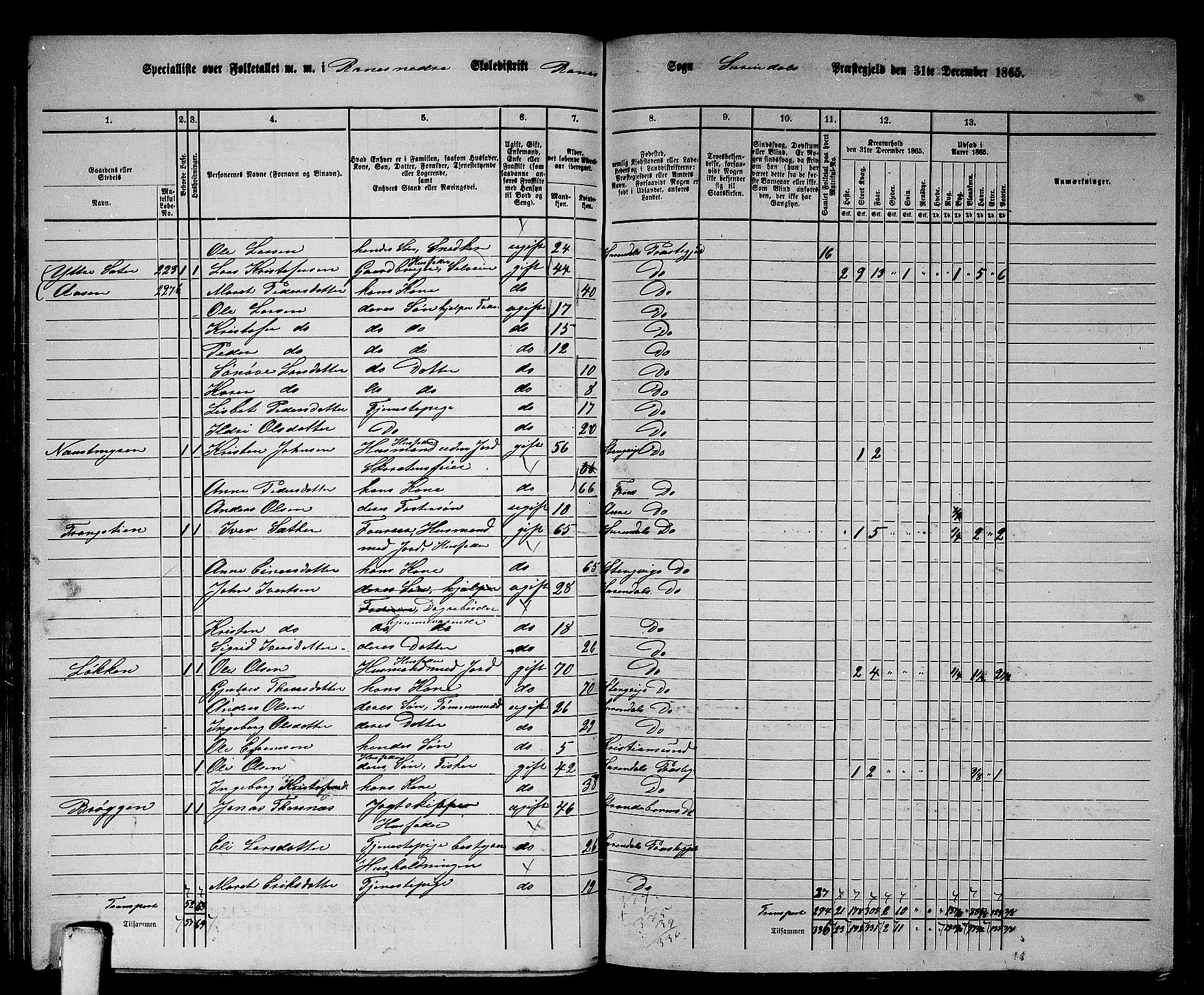 RA, 1865 census for Surnadal, 1865, p. 89