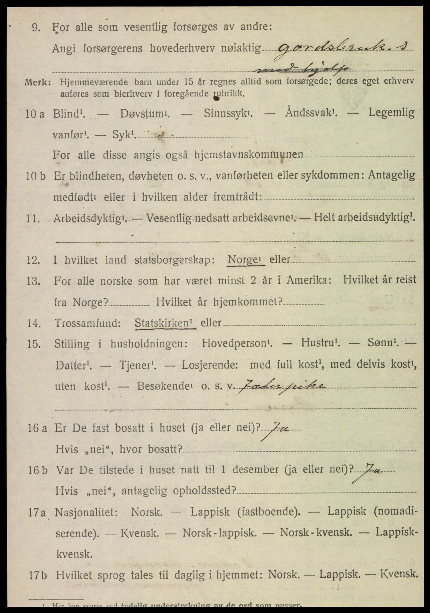 SAT, 1920 census for Sørli, 1920, p. 1032