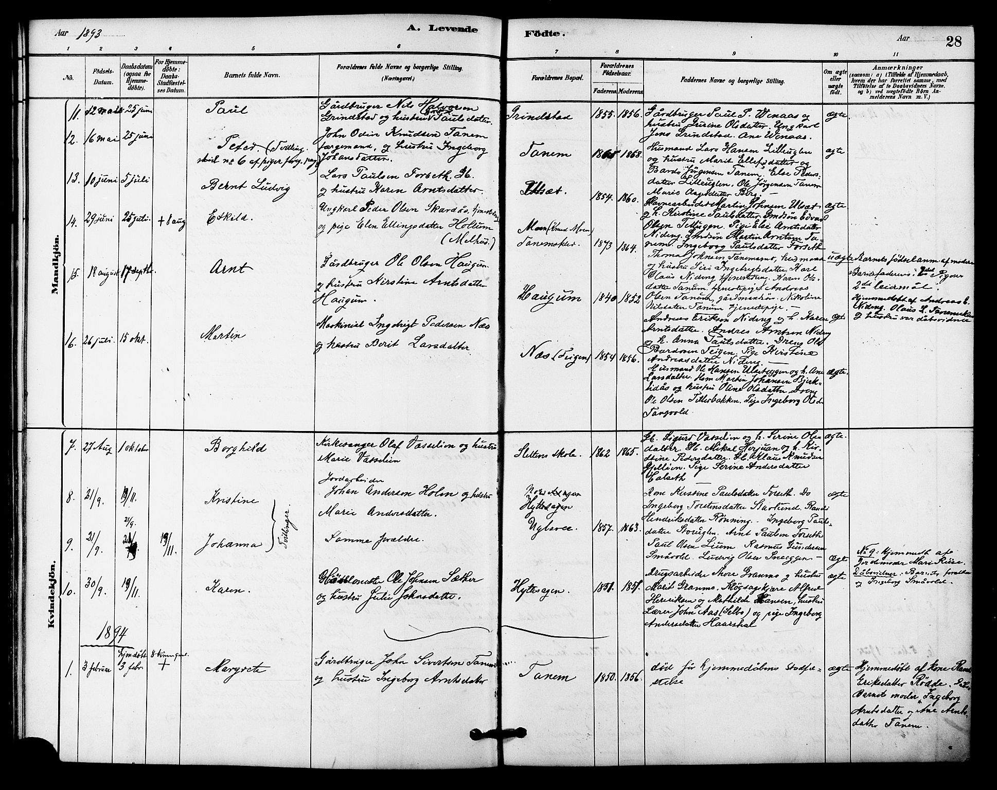 Ministerialprotokoller, klokkerbøker og fødselsregistre - Sør-Trøndelag, SAT/A-1456/618/L0444: Parish register (official) no. 618A07, 1880-1898, p. 28