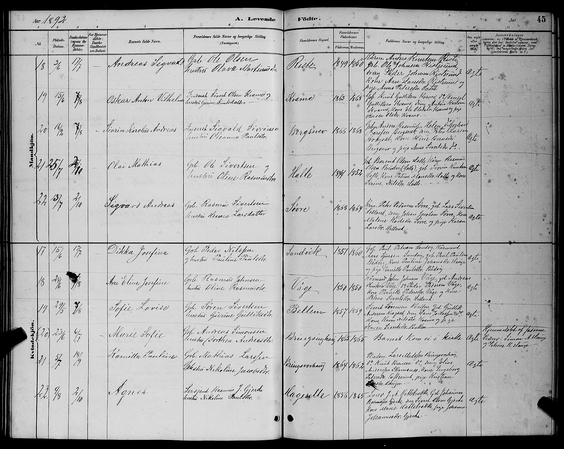 Ministerialprotokoller, klokkerbøker og fødselsregistre - Møre og Romsdal, AV/SAT-A-1454/503/L0048: Parish register (copy) no. 503C03, 1885-1893, p. 45