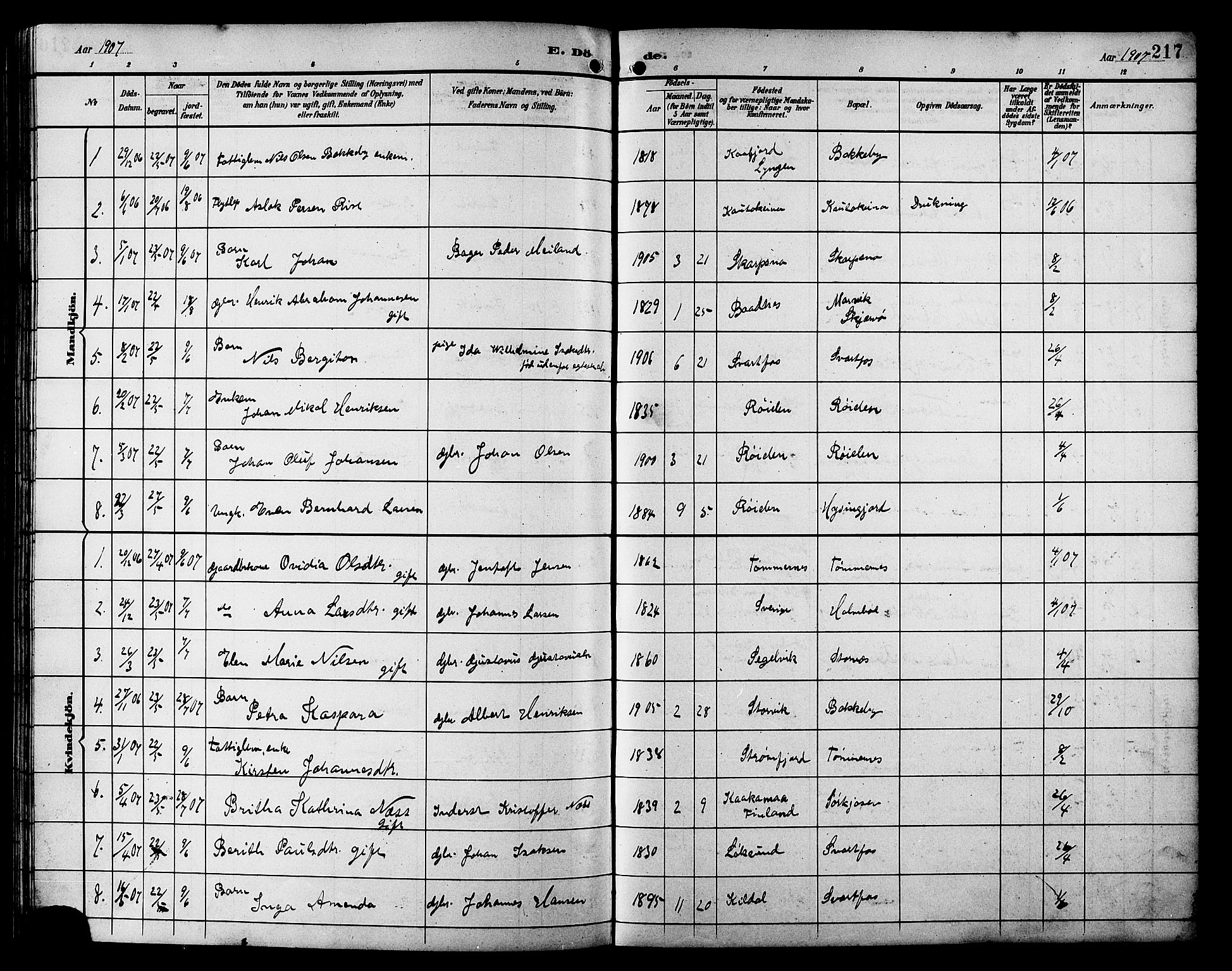 Skjervøy sokneprestkontor, AV/SATØ-S-1300/H/Ha/Hab/L0021klokker: Parish register (copy) no. 21, 1893-1910, p. 217