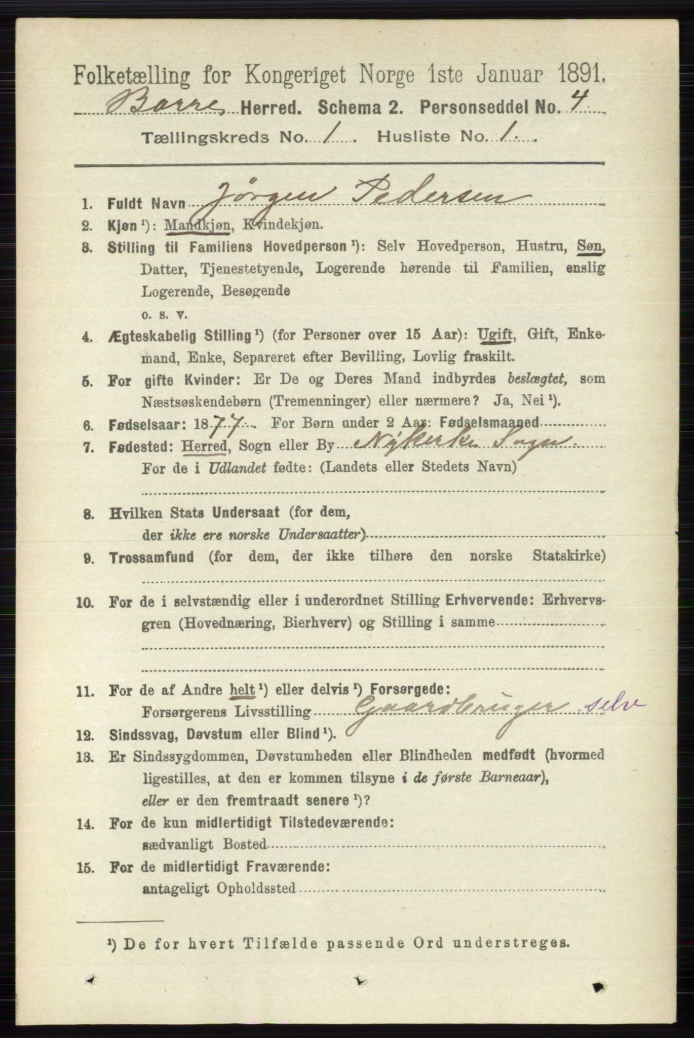 RA, 1891 census for 0717 Borre, 1891, p. 142