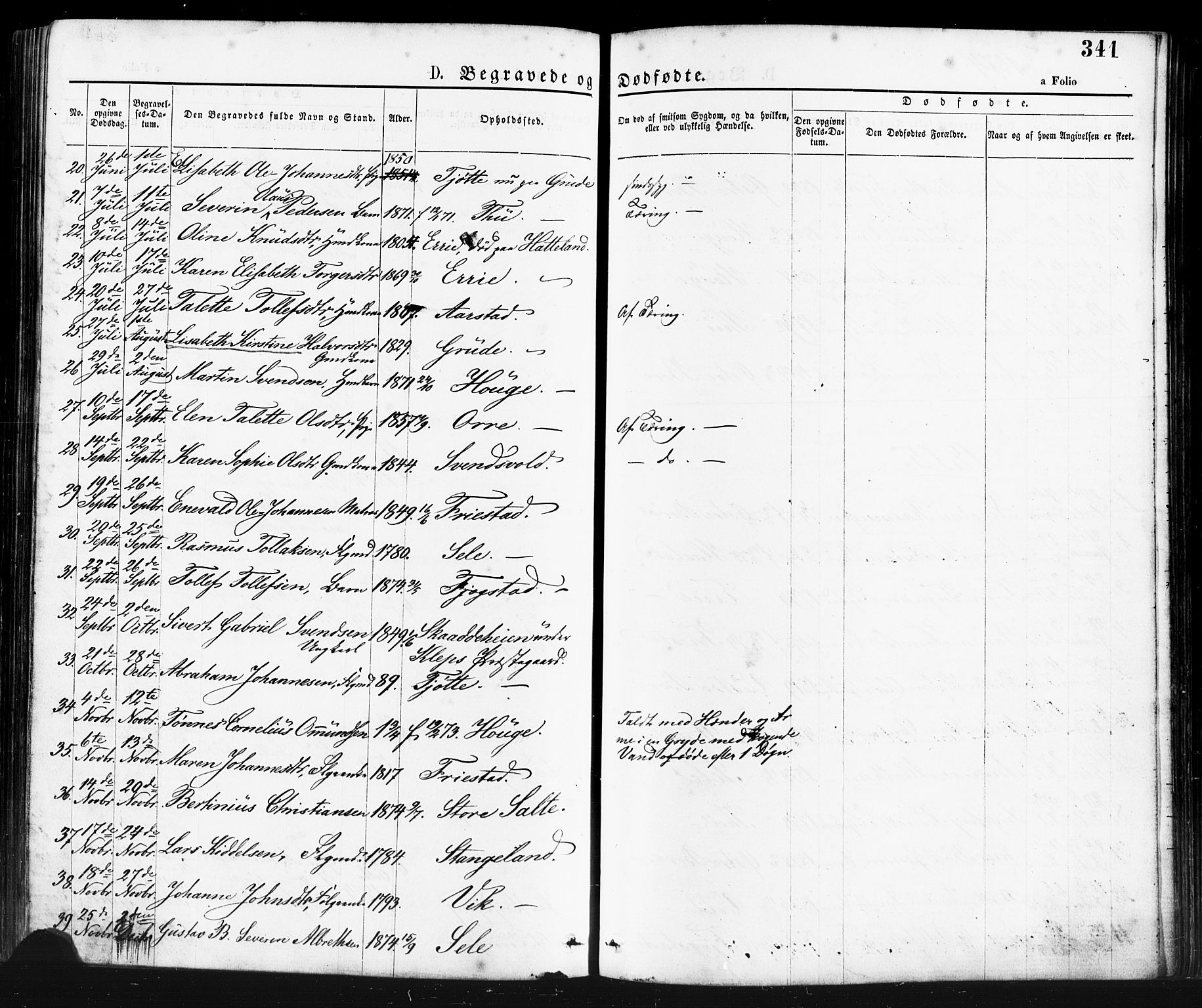 Klepp sokneprestkontor, AV/SAST-A-101803/001/3/30BA/L0006: Parish register (official) no. A 6, 1871-1885, p. 341