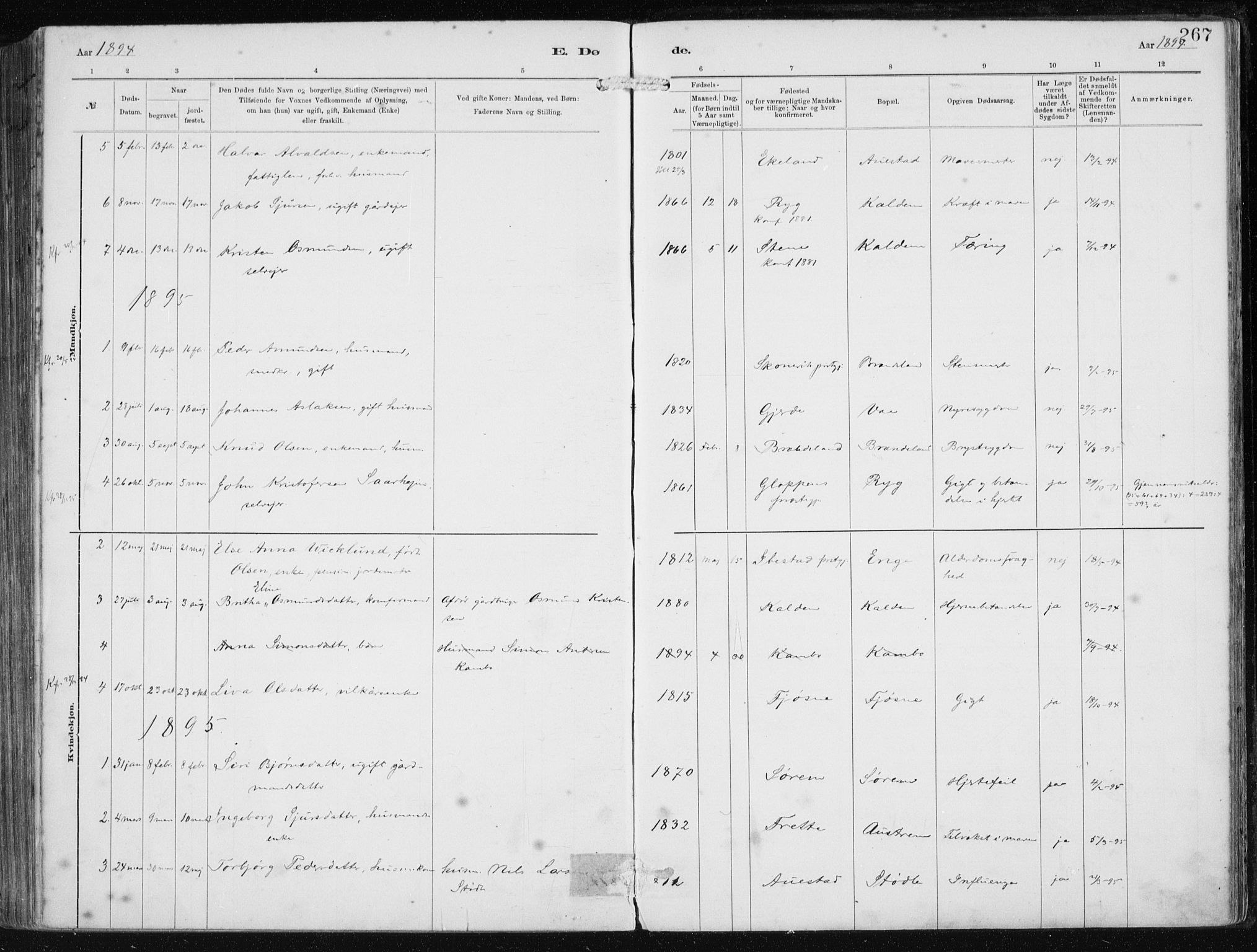 Etne sokneprestembete, AV/SAB-A-75001/H/Haa: Parish register (official) no. B  1, 1879-1919, p. 267