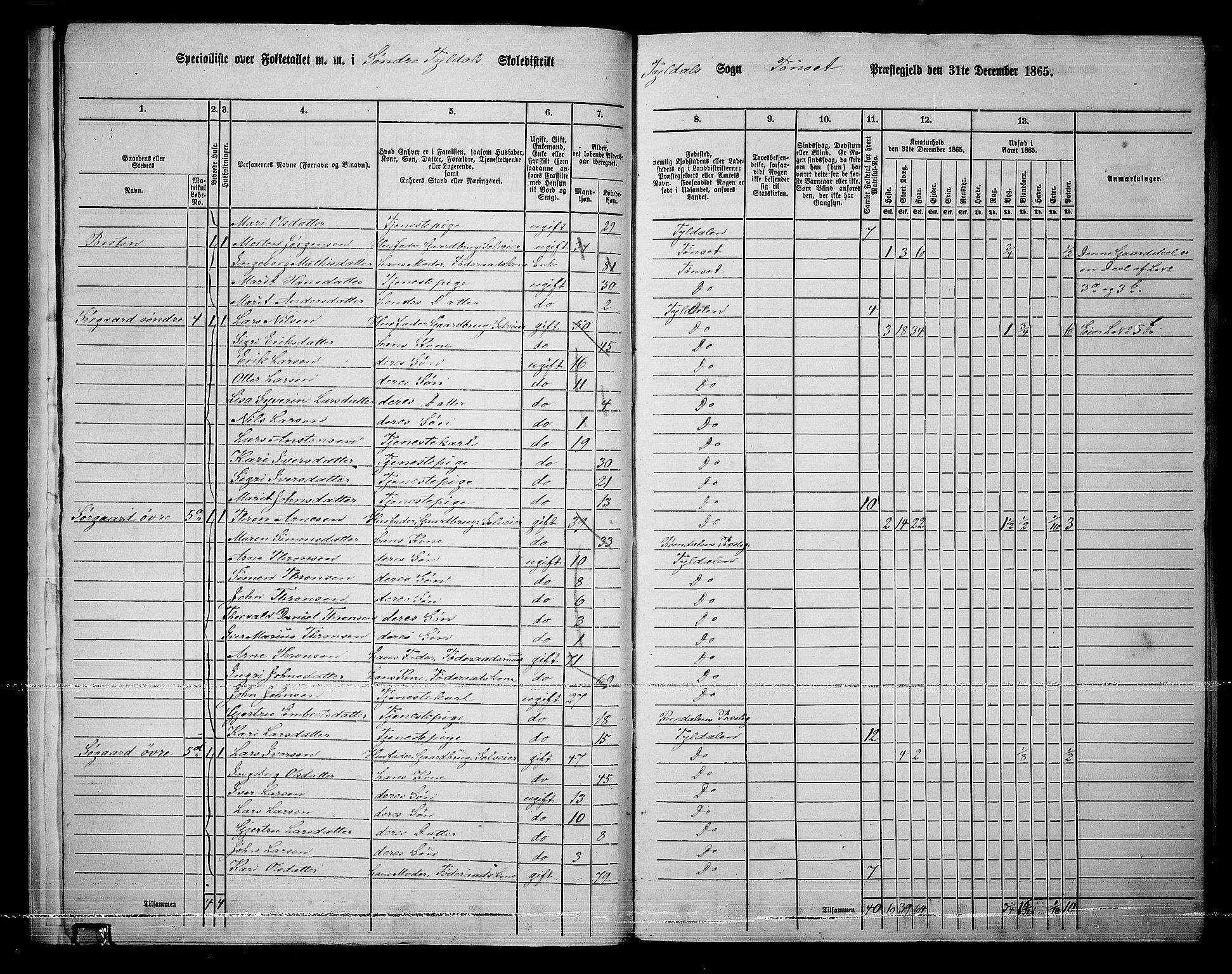 RA, 1865 census for Tynset, 1865, p. 15