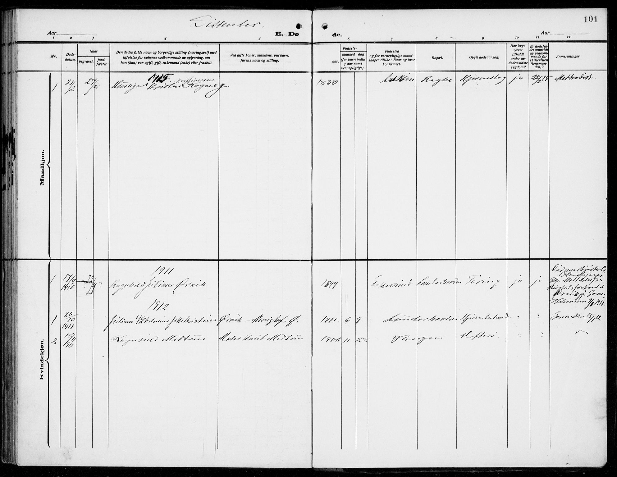 Voss sokneprestembete, SAB/A-79001/H/Haa: Parish register (official) no. D  2, 1910-1932, p. 101