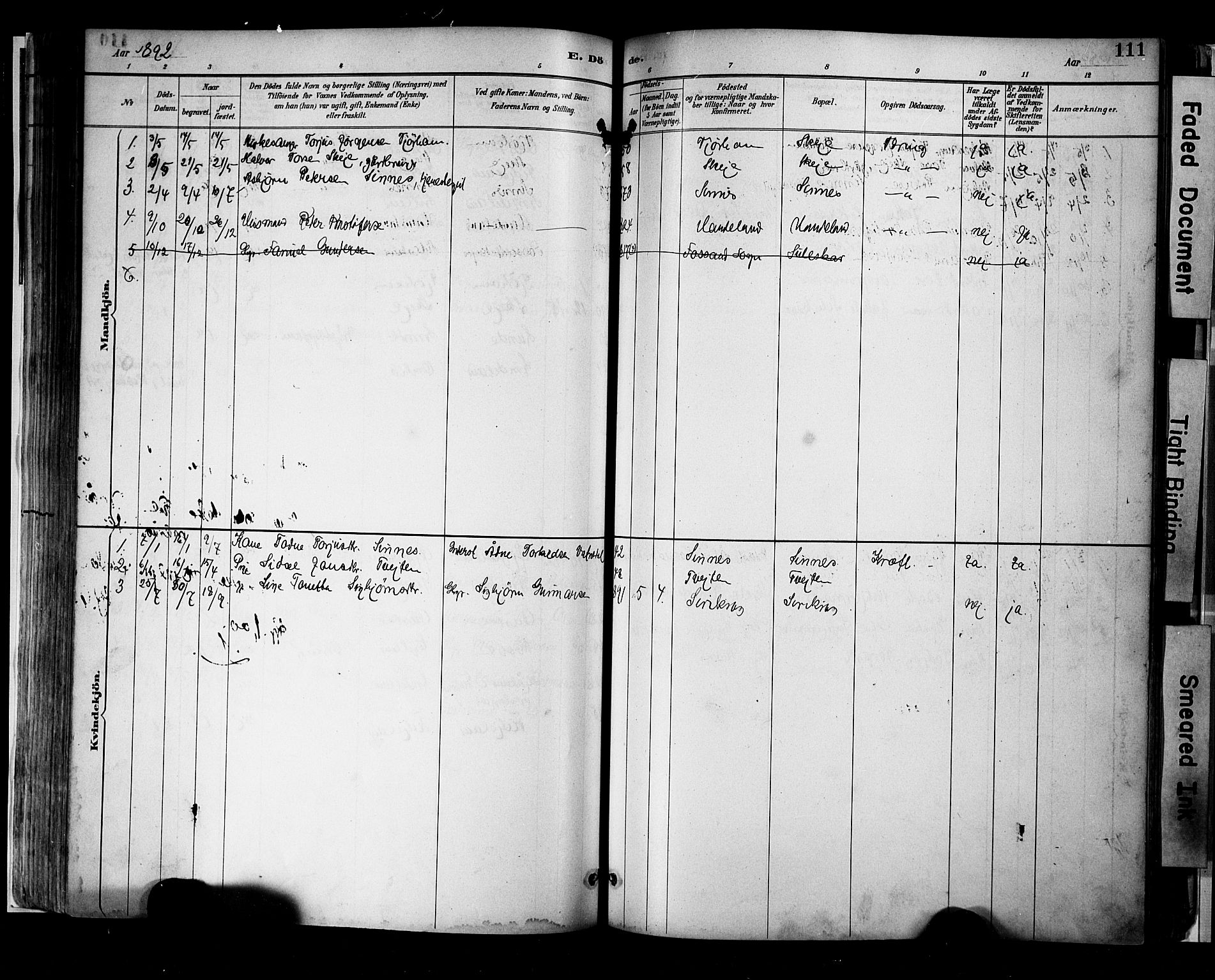 Sirdal sokneprestkontor, AV/SAK-1111-0036/F/Fa/Faa/L0001: Parish register (official) no. A 1, 1887-1910, p. 111