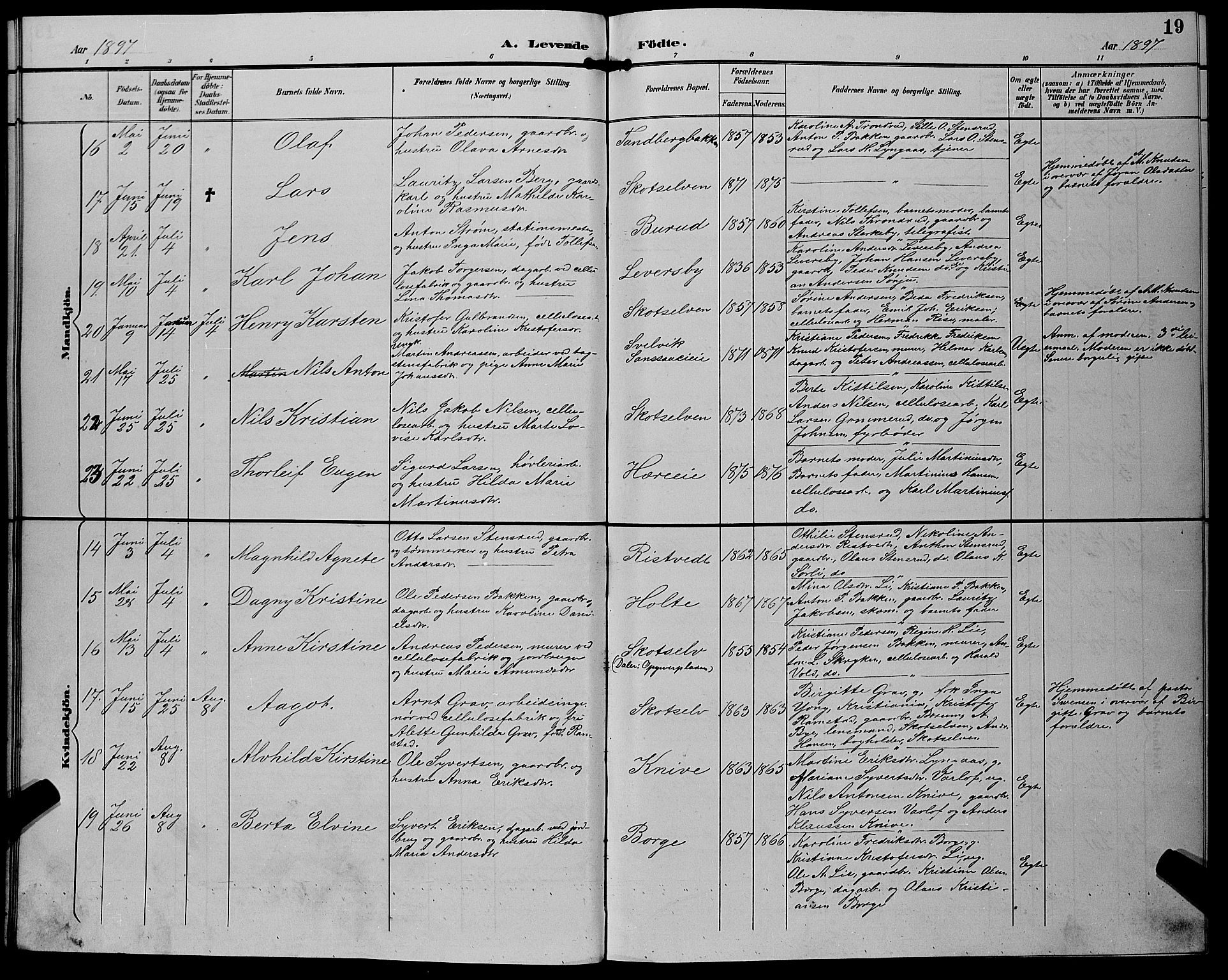 Eiker kirkebøker, AV/SAKO-A-4/G/Gb/L0004: Parish register (copy) no. II 4, 1894-1900, p. 19