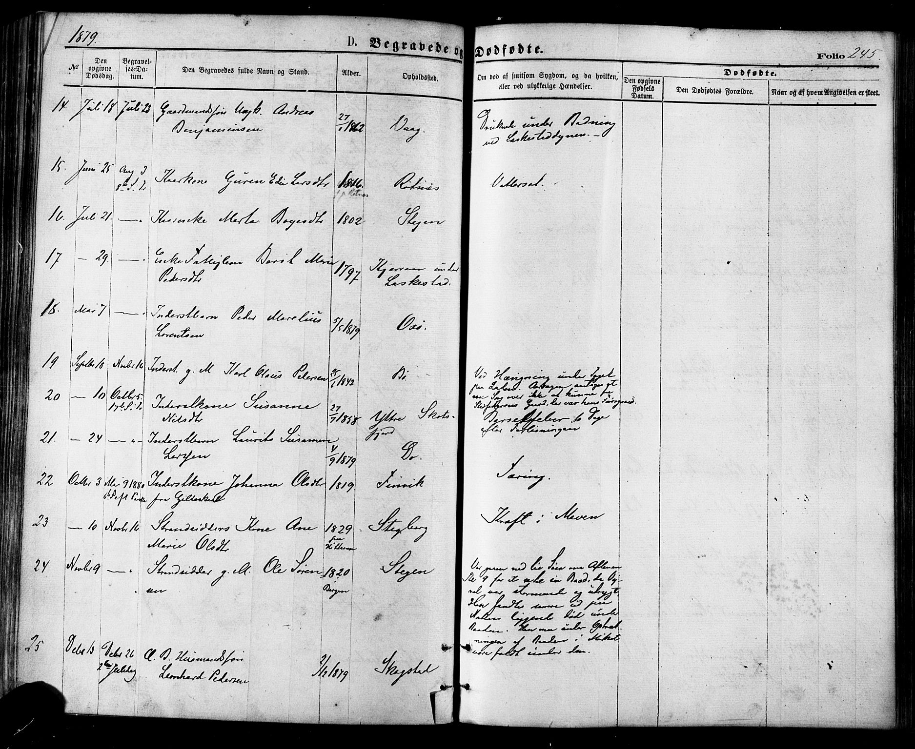 Ministerialprotokoller, klokkerbøker og fødselsregistre - Nordland, AV/SAT-A-1459/855/L0802: Parish register (official) no. 855A10, 1875-1886, p. 245