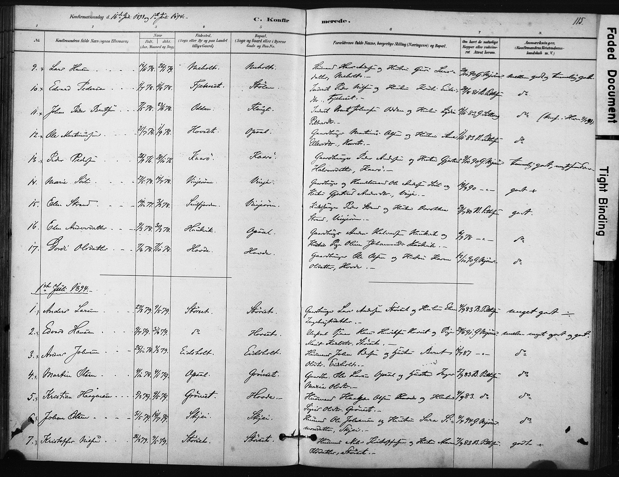 Ministerialprotokoller, klokkerbøker og fødselsregistre - Sør-Trøndelag, SAT/A-1456/631/L0512: Parish register (official) no. 631A01, 1879-1912, p. 115