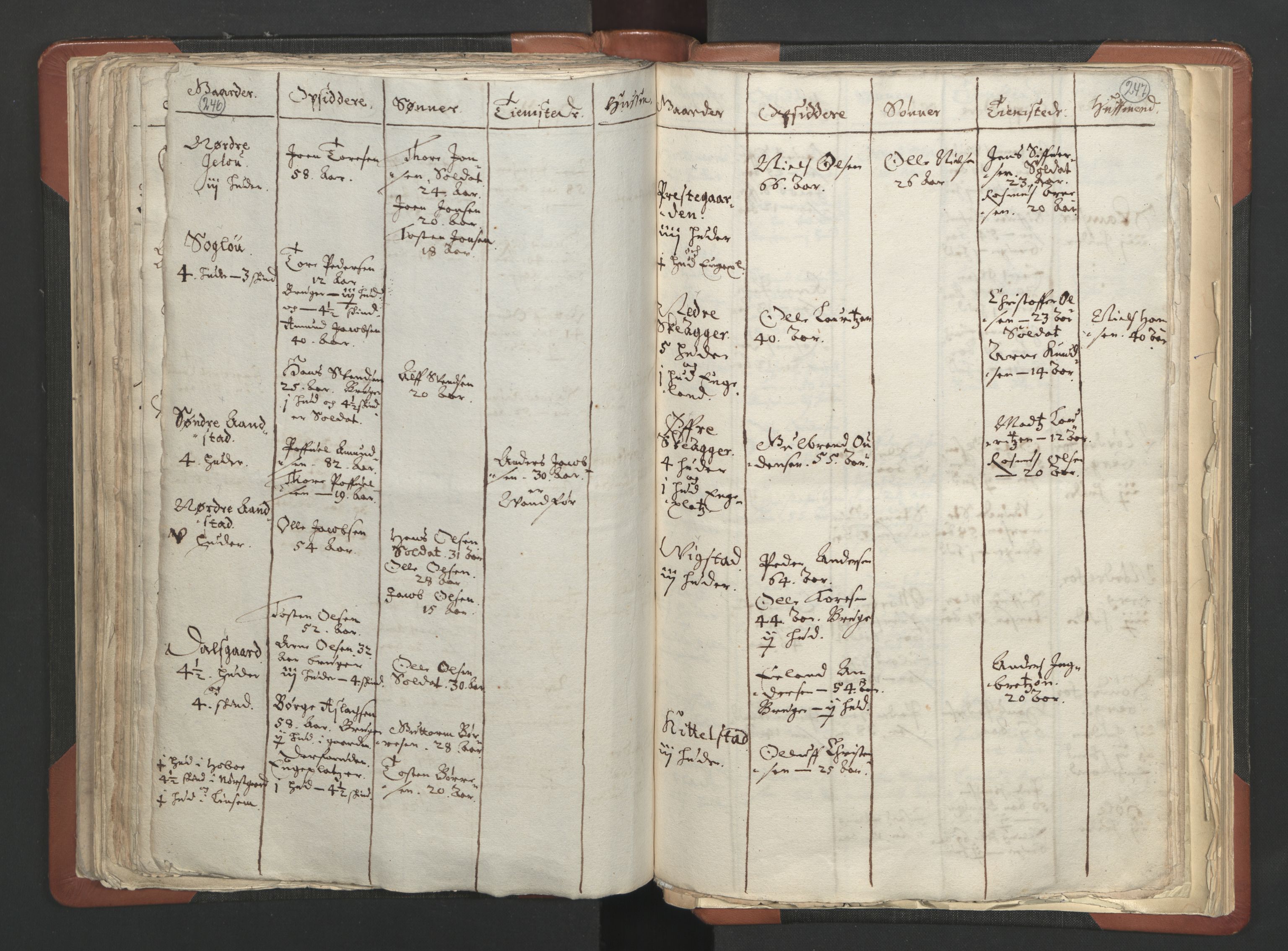 RA, Vicar's Census 1664-1666, no. 6: Gudbrandsdal deanery, 1664-1666, p. 246-247