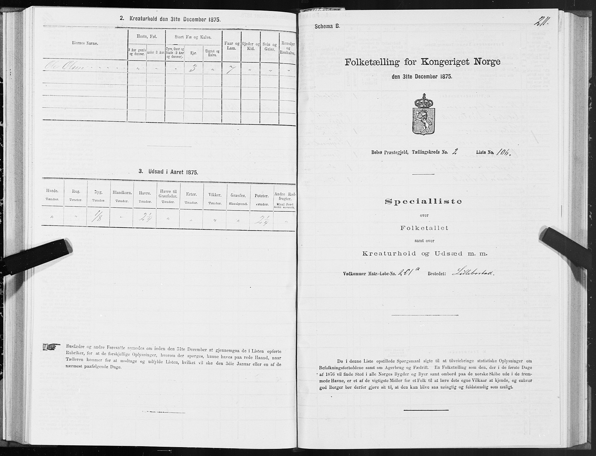 SAT, 1875 census for 1544P Bolsøy, 1875, p. 2211